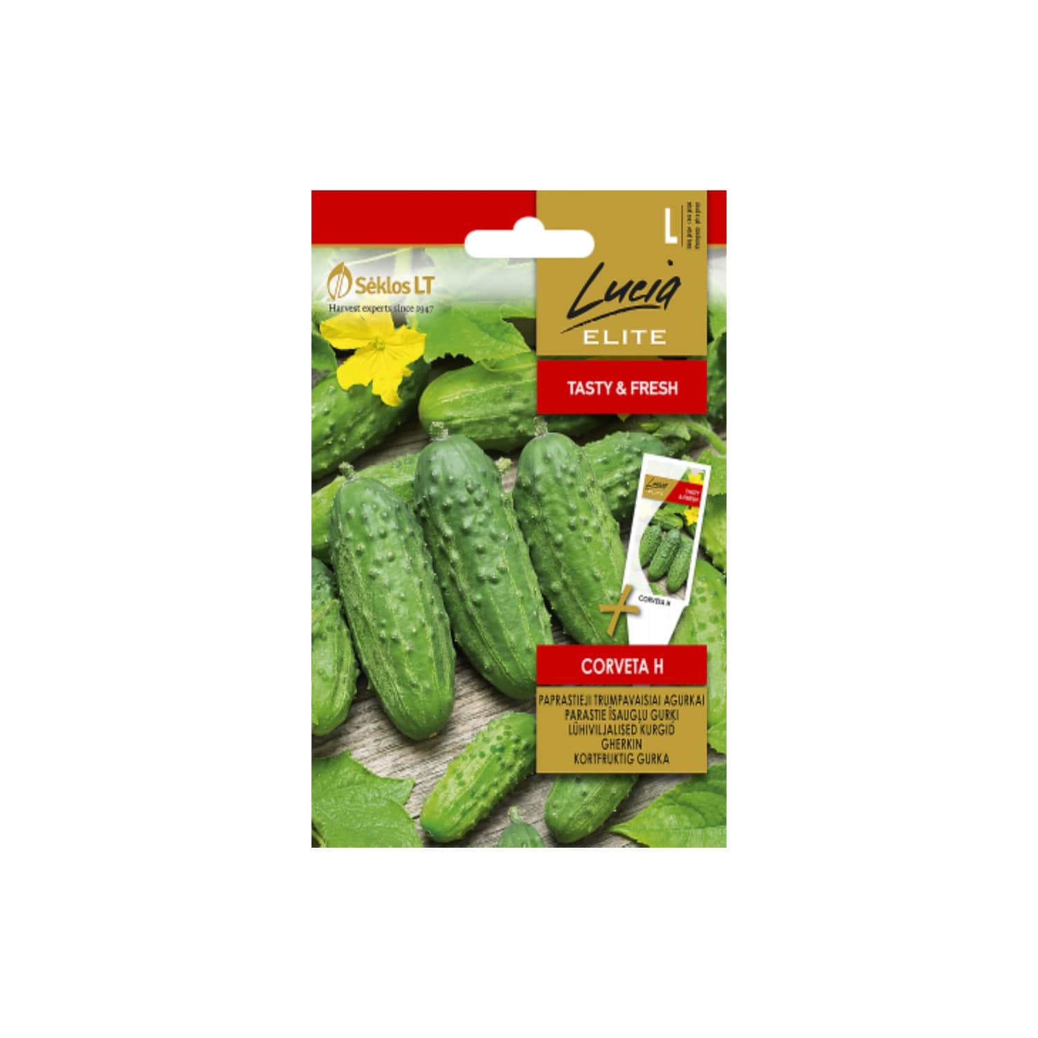 Sėklos LUCIA ELITE Agurkai trump. Corveta H