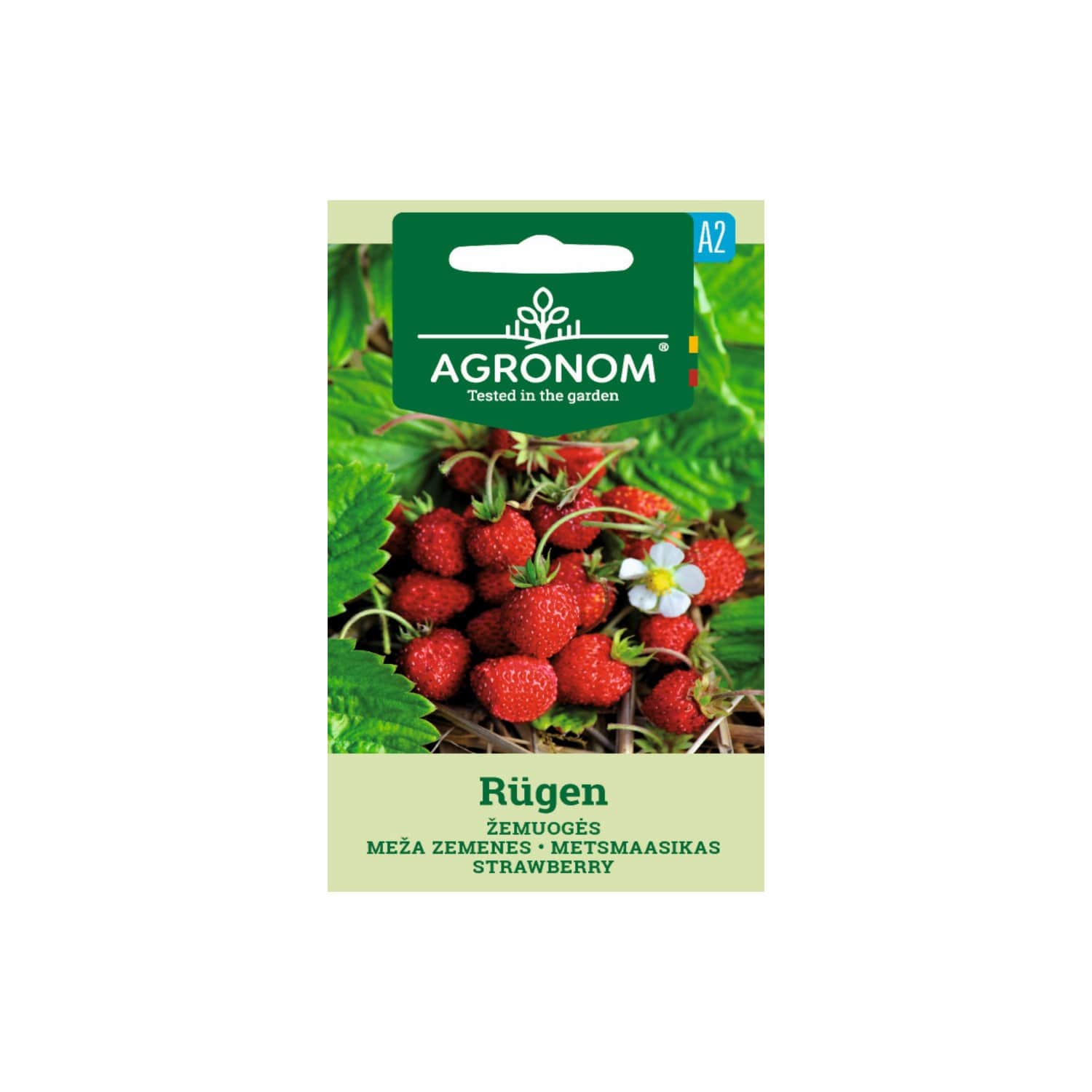 Sėklos AGRONOM Žemuogės Rugen