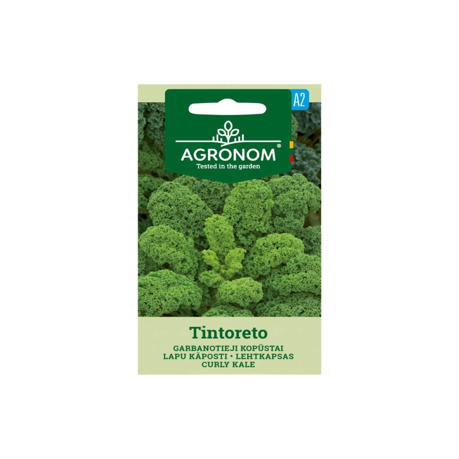 Lehtkapsas Tintoreto