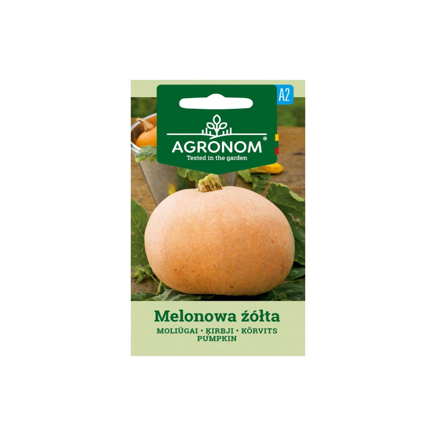 Sēklas AGRONOM Lielaugļu kirbji