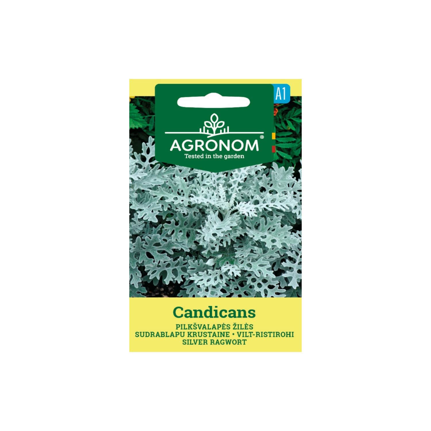 Sėklos AGRONOM Žilės pilkšval. Candicans AGR