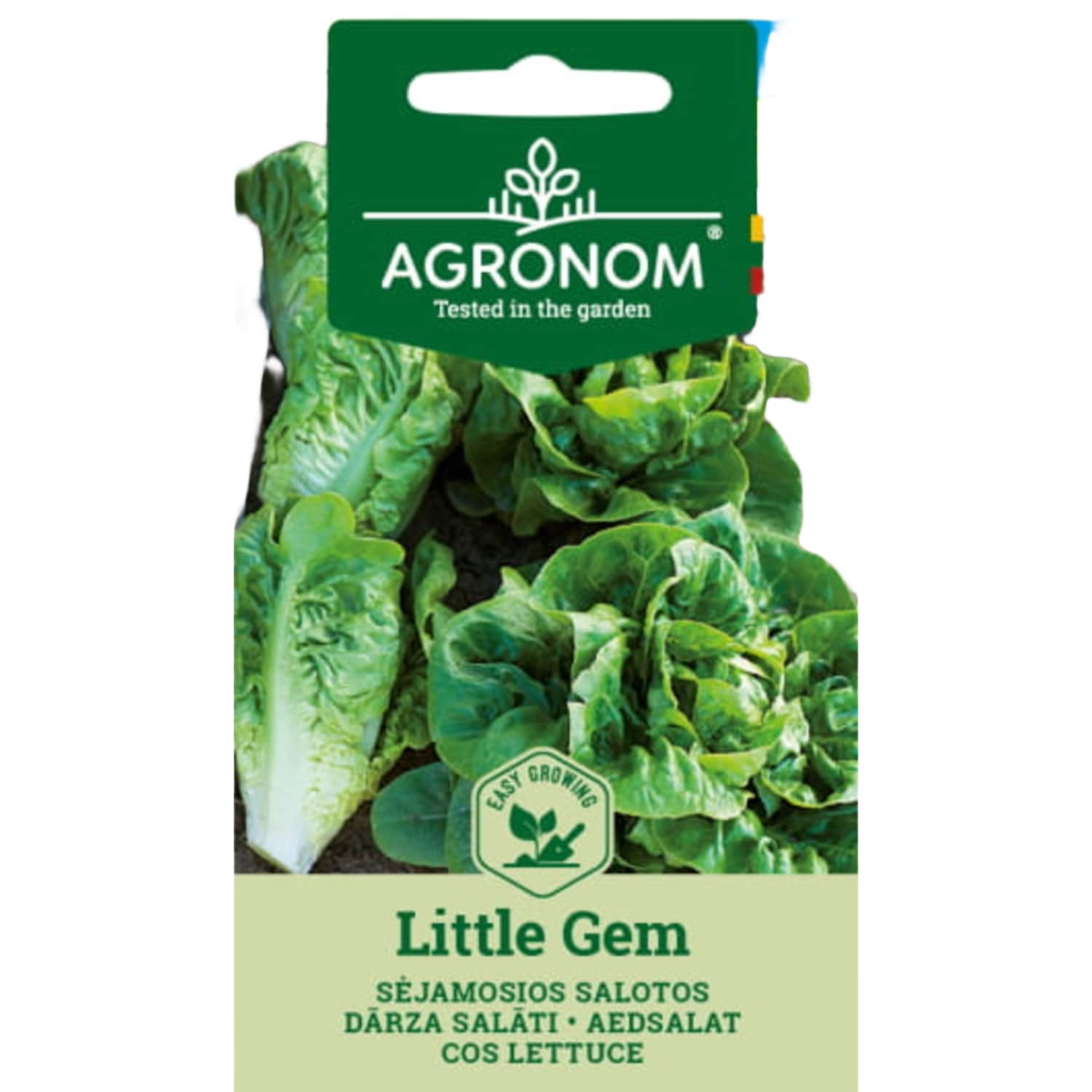 Dārza Salāti Little Gem