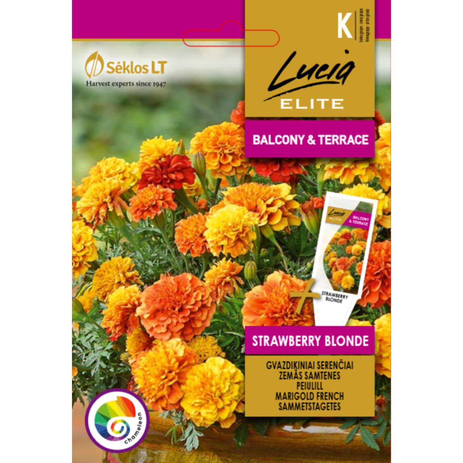 S. Lucia Elite Peiul. Strawberry Blonde