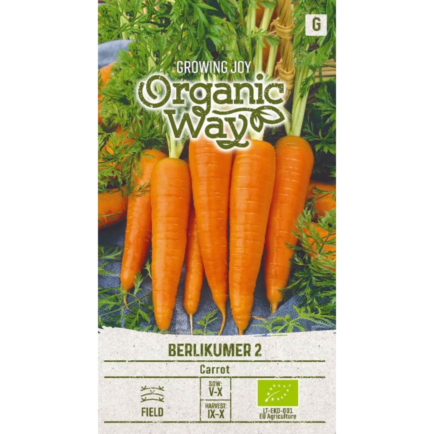 Morkų sėklos BERLIKUMER 2