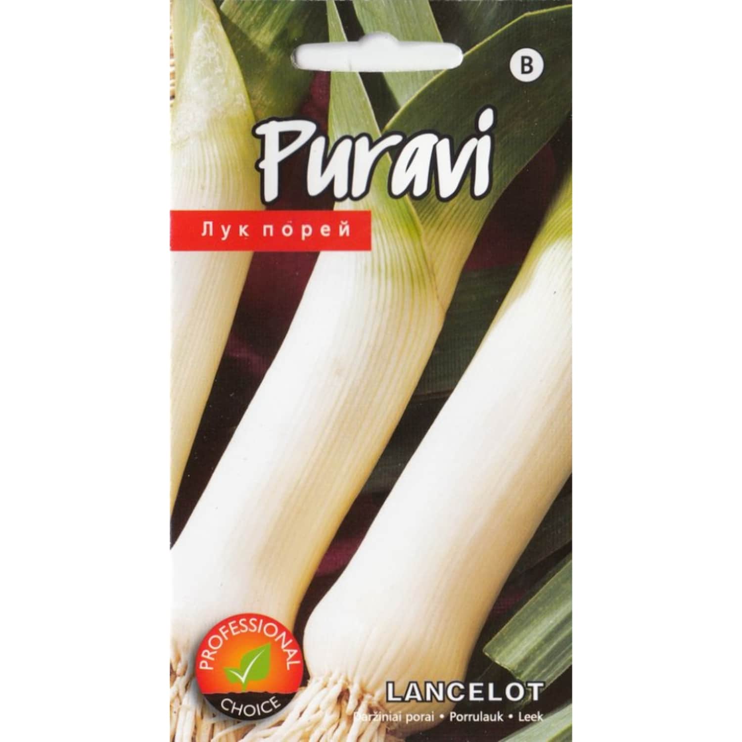 Puravi Lancelot