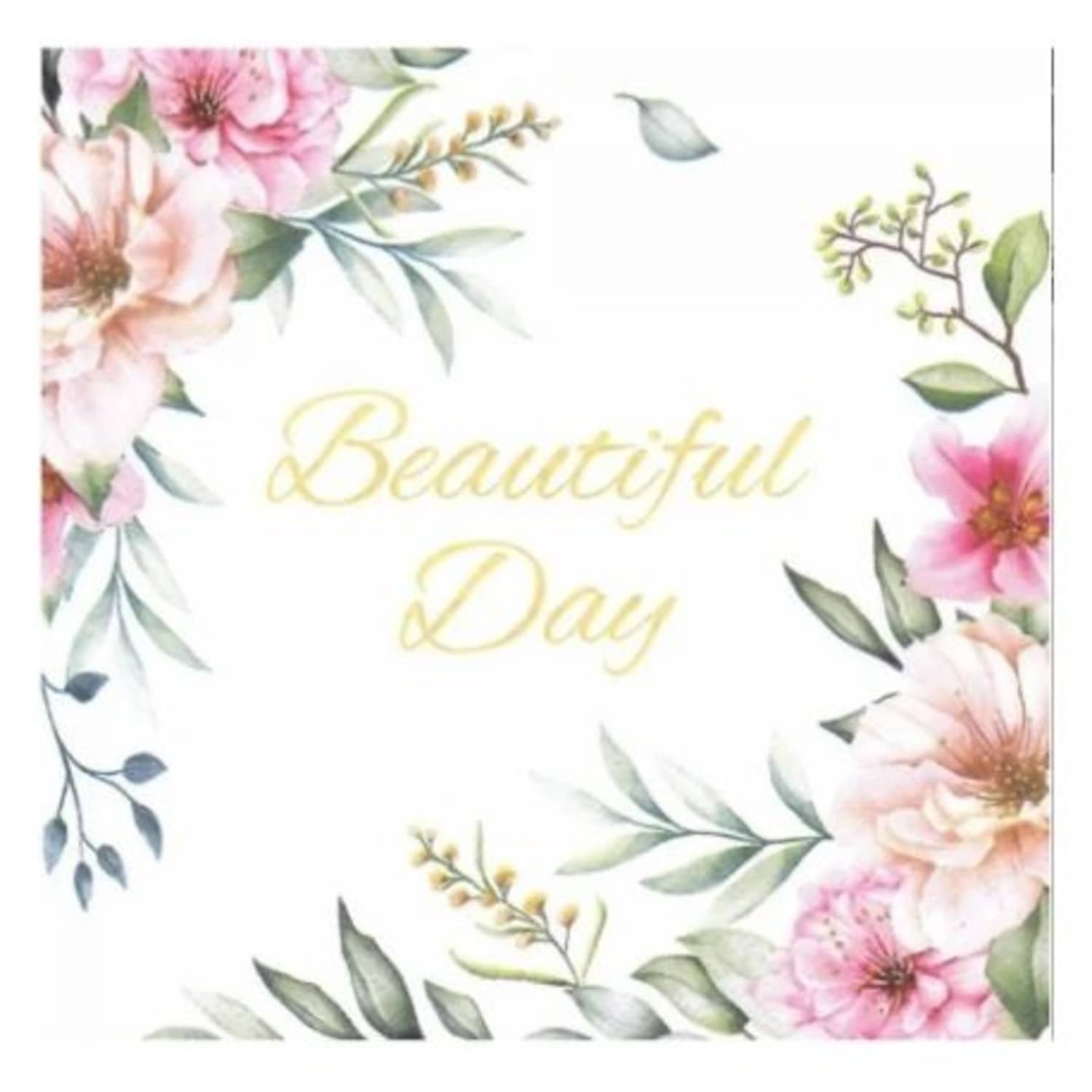 Salvetes Paw 33x33cm, 3-kārtu, 20gab