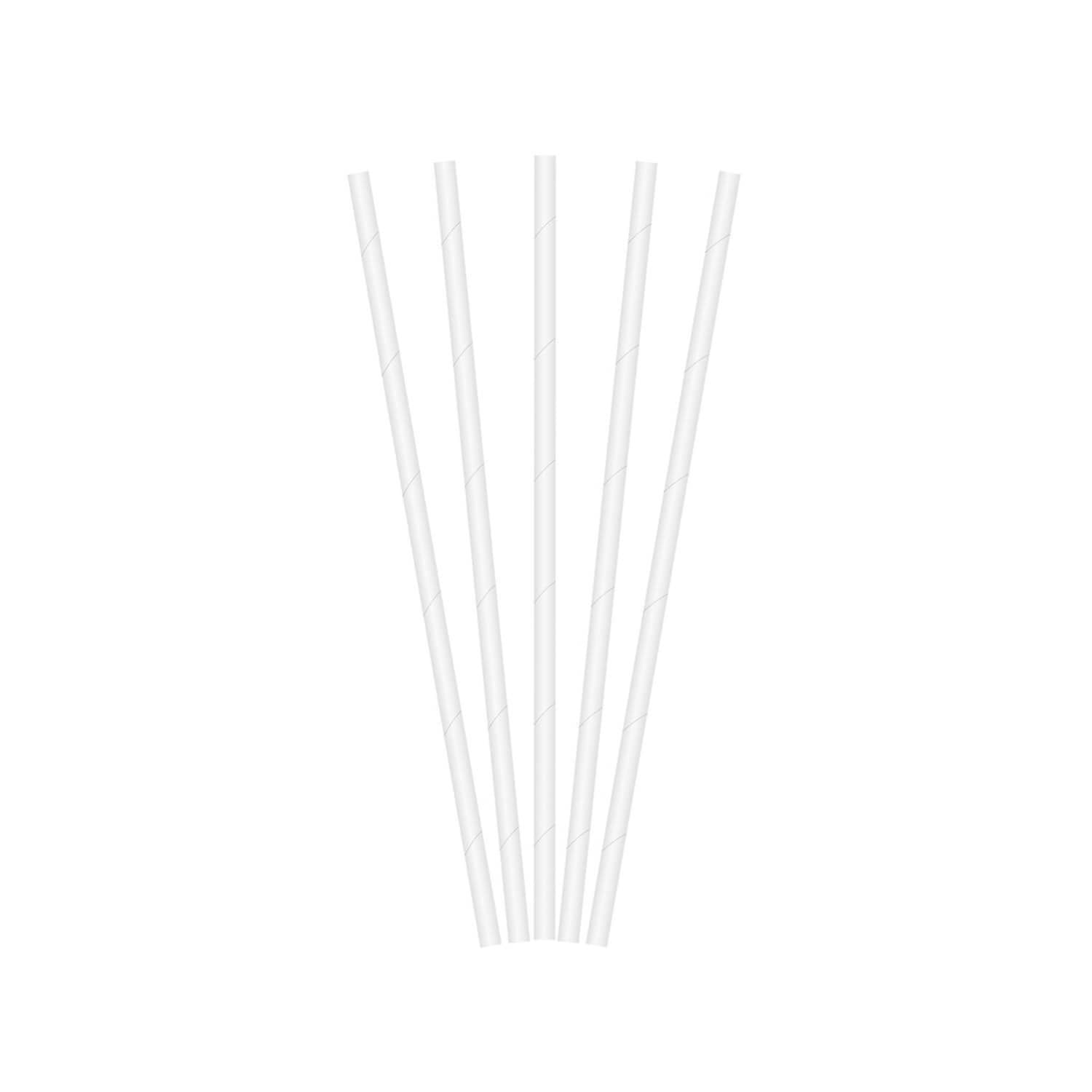 FSC papīra salmiņi 24gab