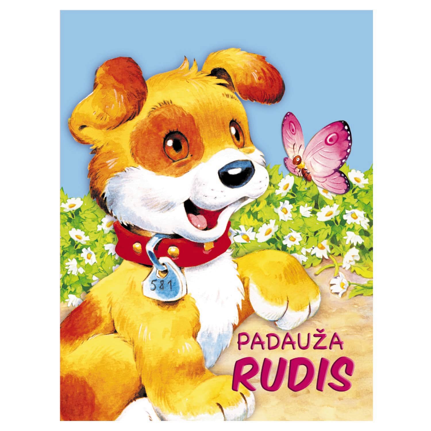 Knyga PADAUŽA RUDIS