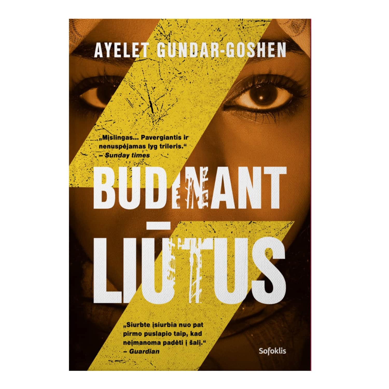 Knyga BUDINANT LIŪTUS