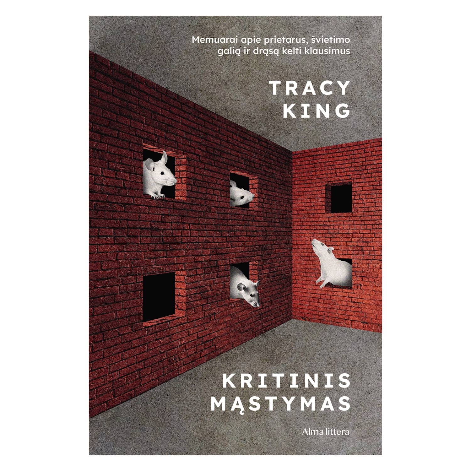 Knyga KRITINIS MĄSTYMAS