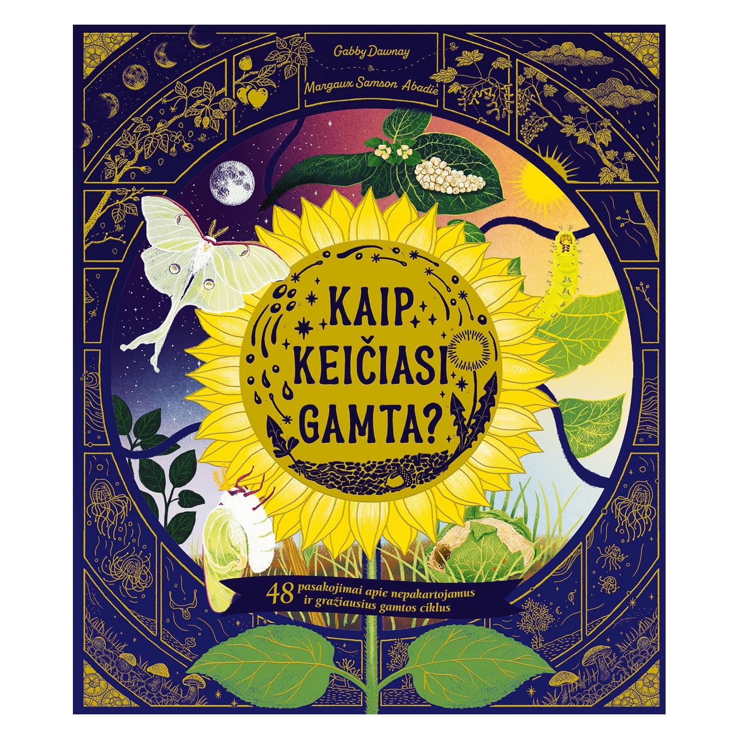 Knyga KAIP KEIČIASI GAMTA?