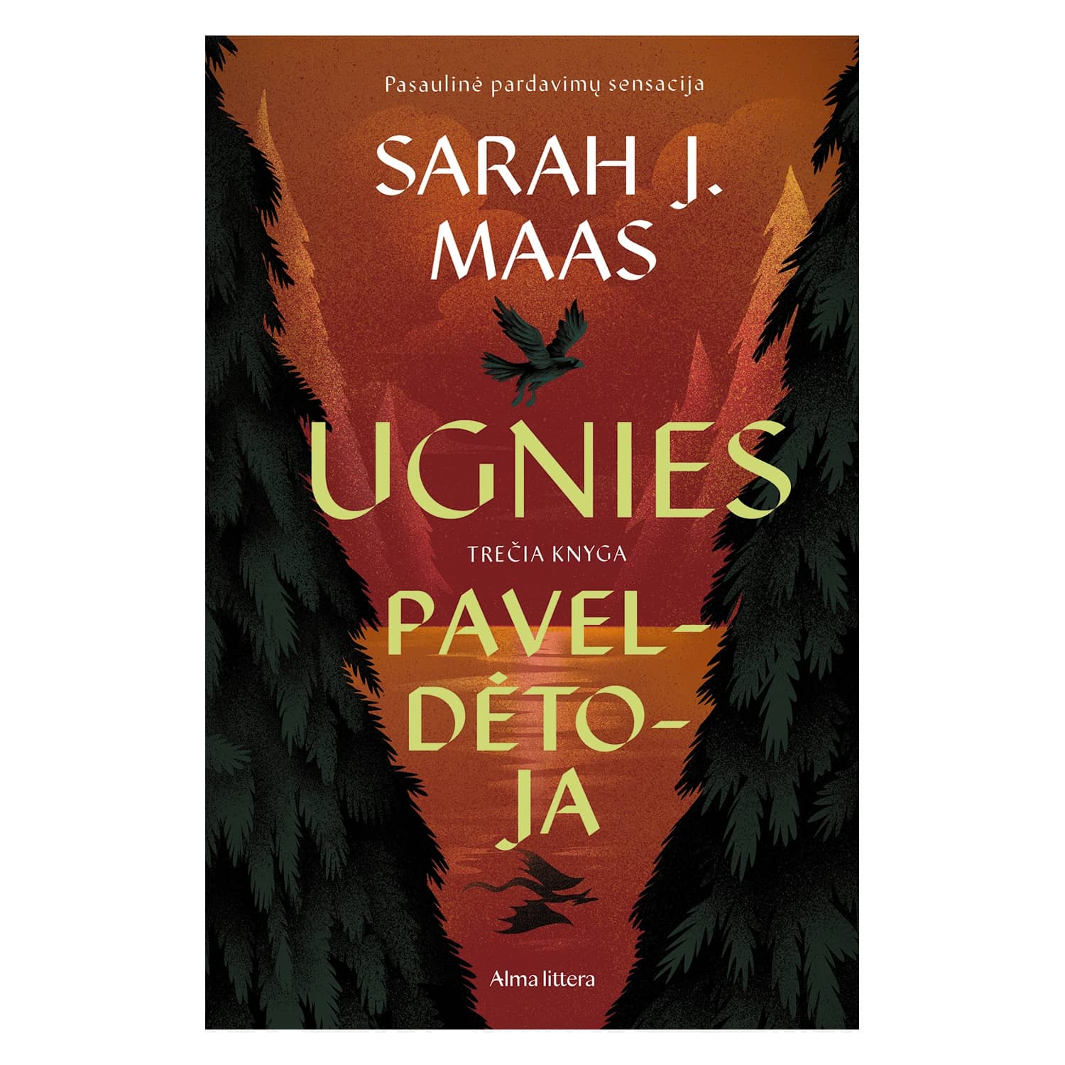 Knyga UGNIES PAVELDĖTOJA. 3 KNYGA