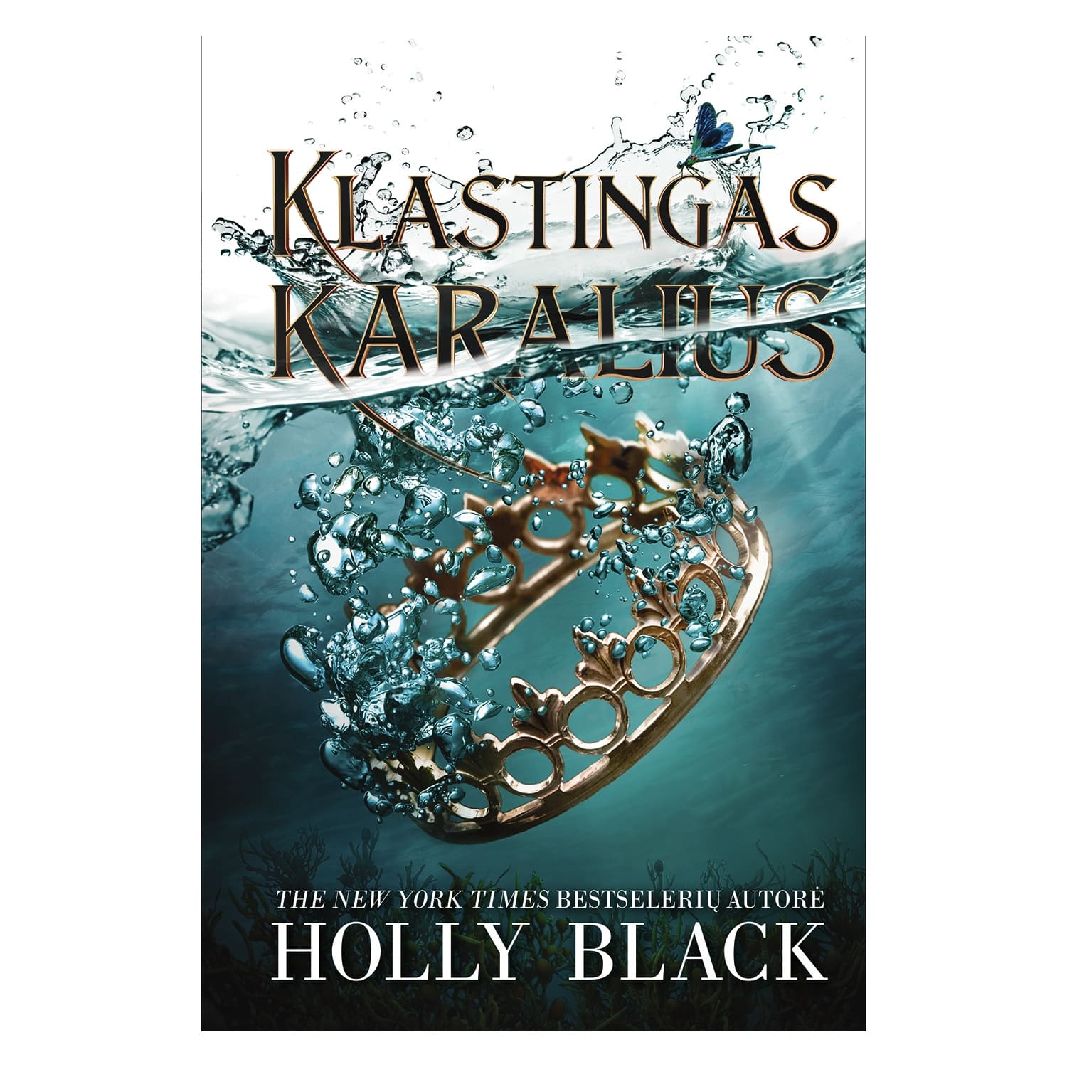 Knyga KLASTINGAS KARALIUS