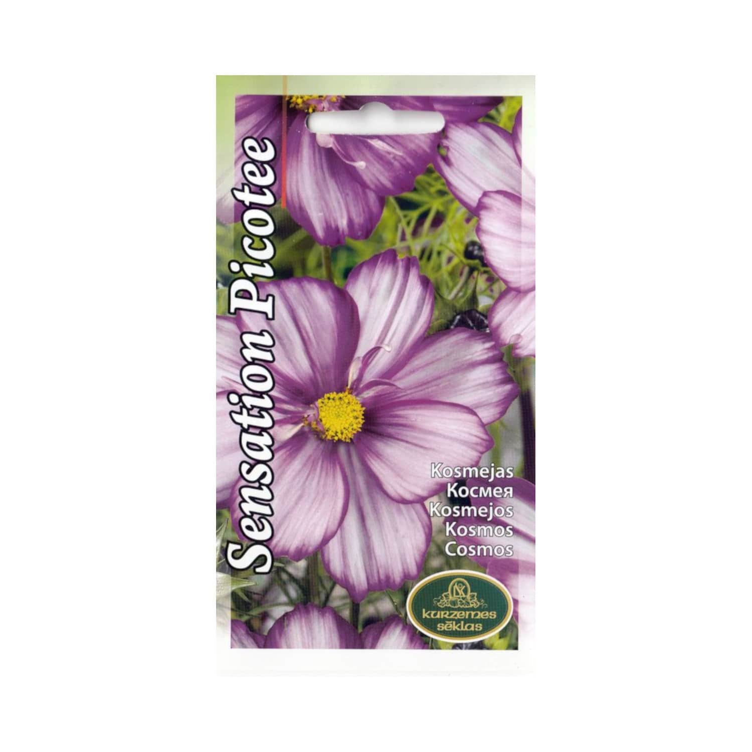 Kosmejas Sensation Picotee Kurzemes Sēklas