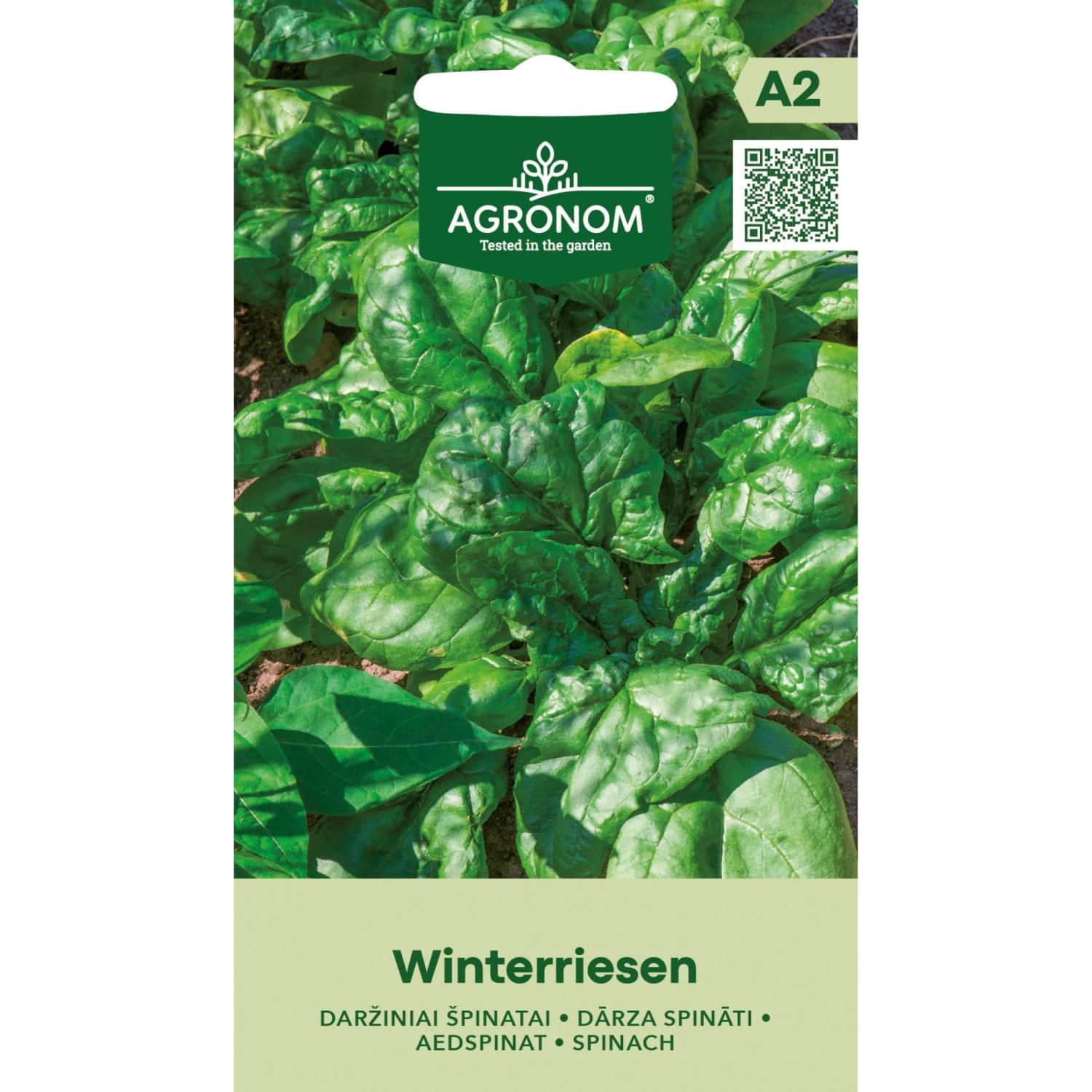 Sēklas AGRONOM Dārza spināti