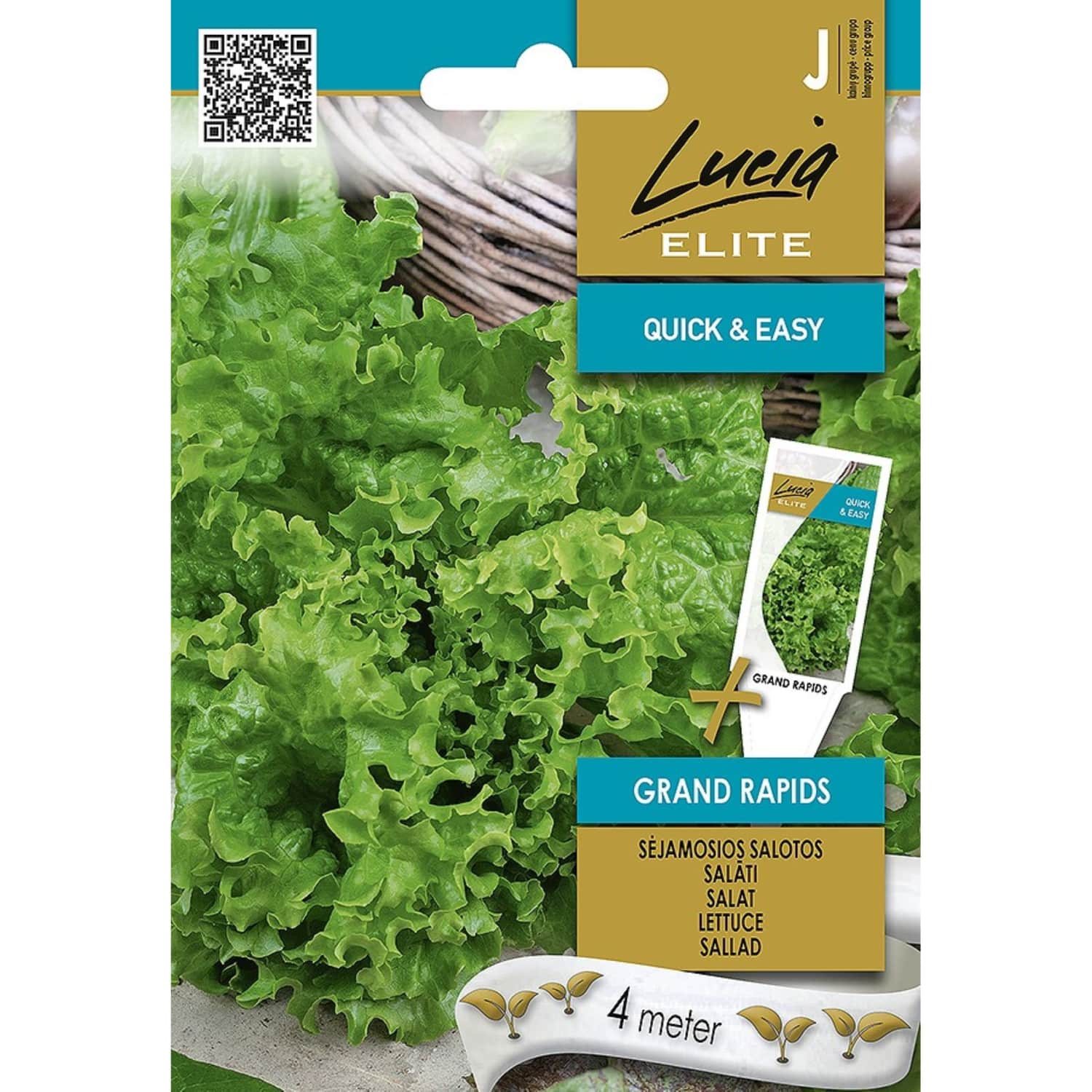 S. Lucia Elite Aedsalat Grand Rapids LE