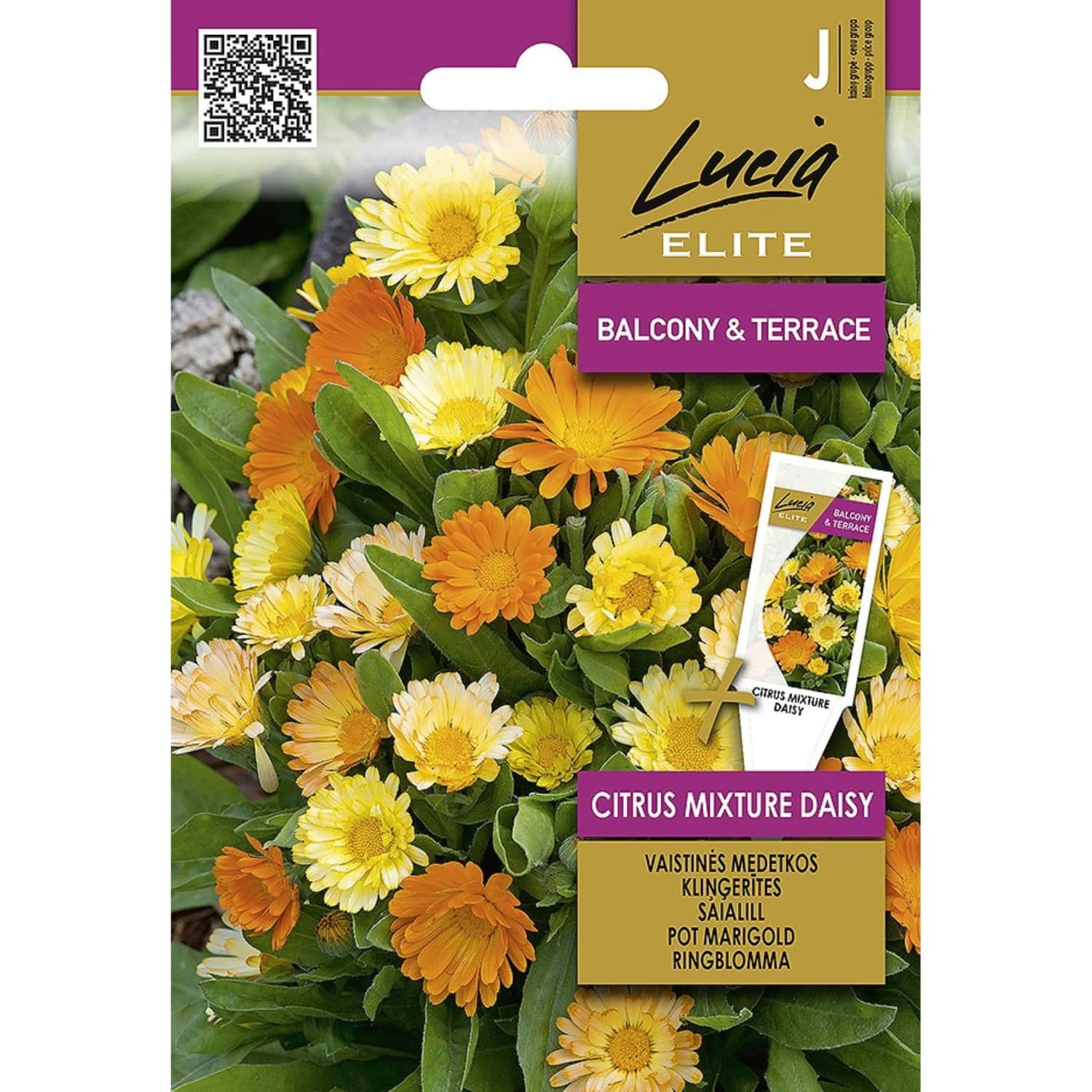 S. Lucia Elite S.lill Citrus Mix. Daisy