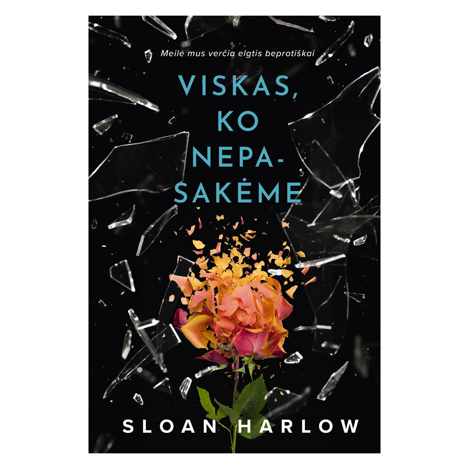 Knyga VISKAS, KO NEPASAKĖME