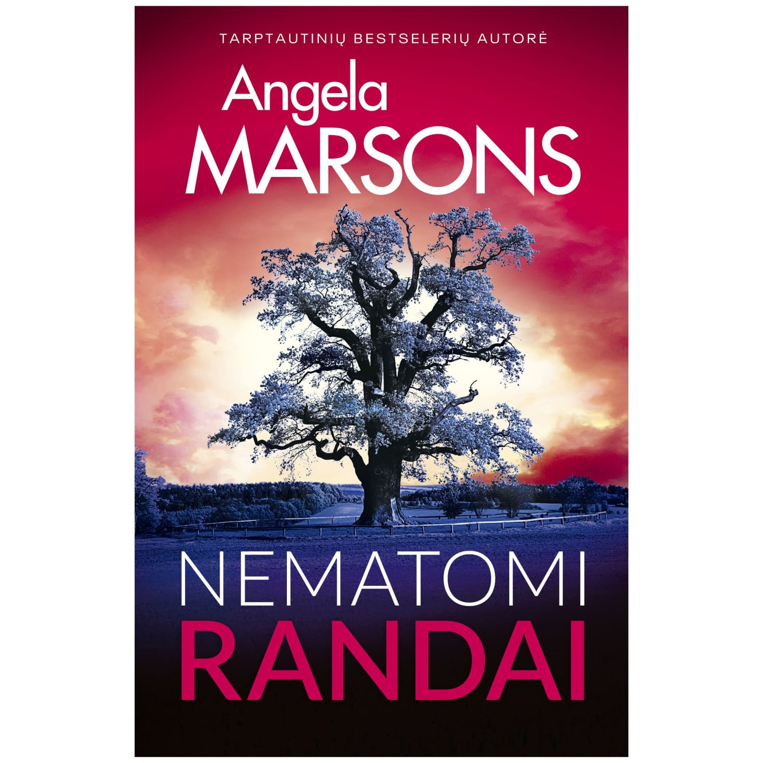 Knyga NEMATOMI RANDAI