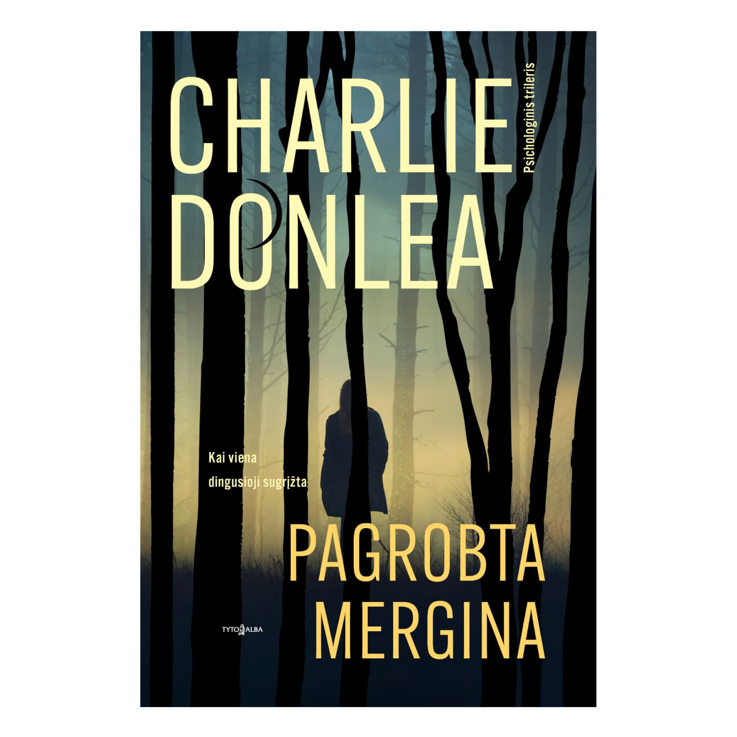 Knyga PAGROBTA MERGINA