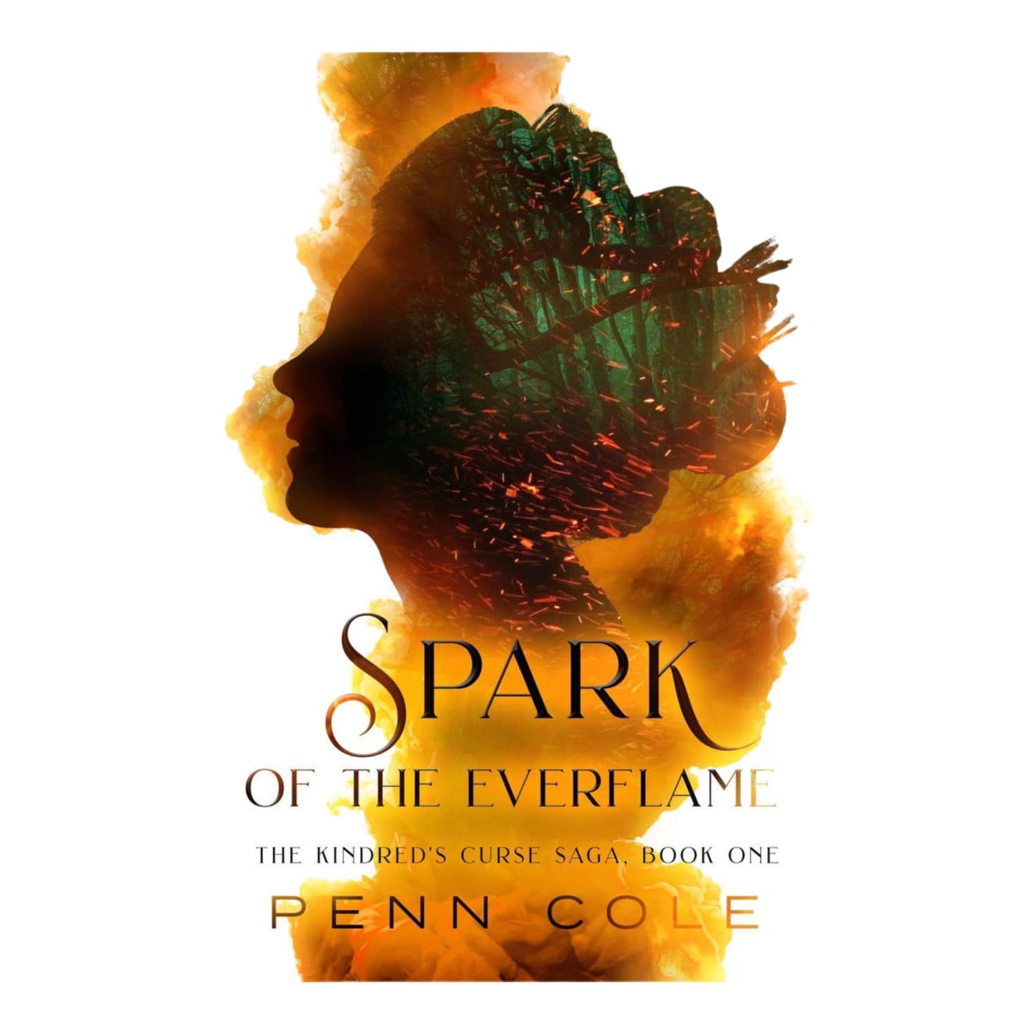 Knyga AMŽINOSIOS LIEPSNOS KIBIRKŠTIS