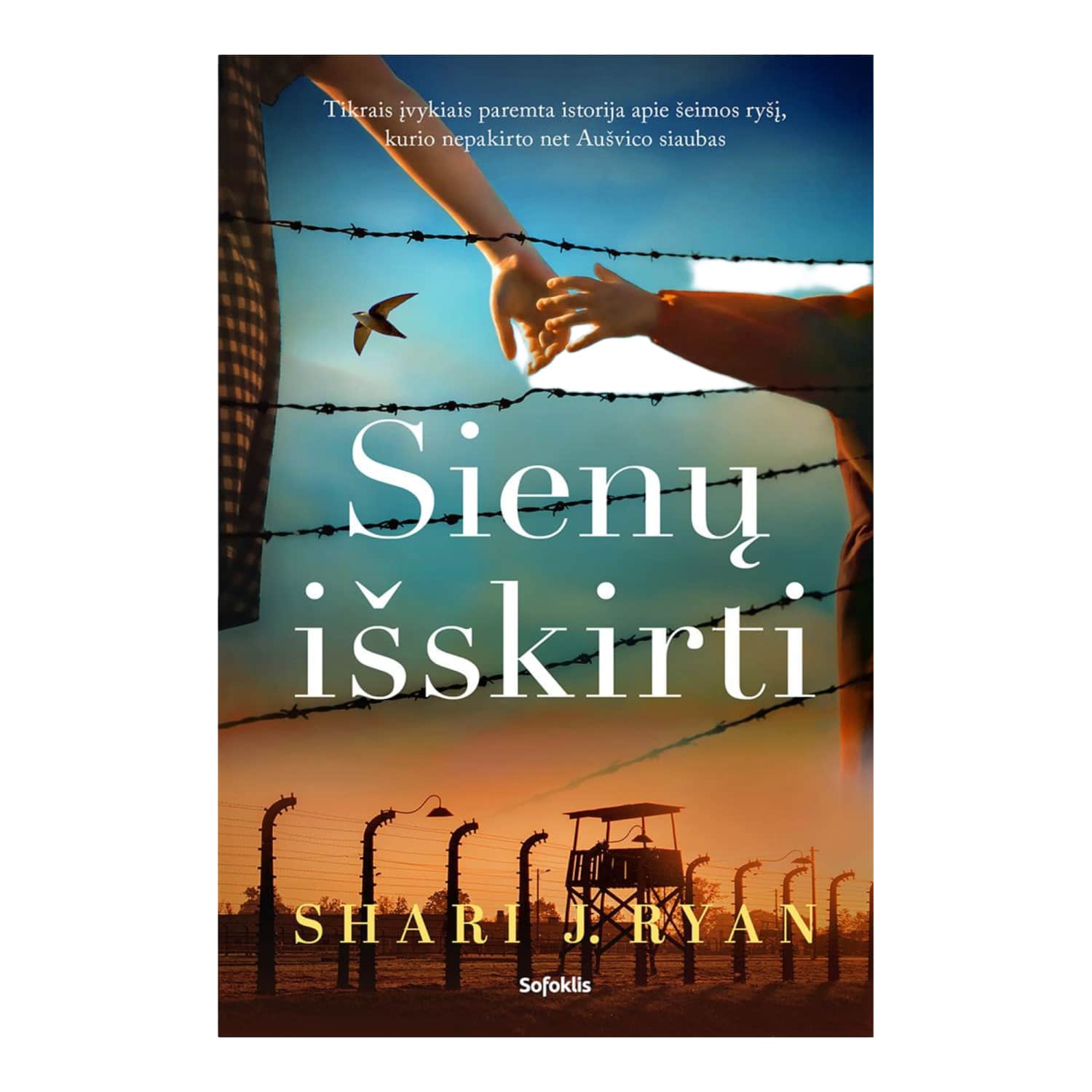 Knyga SIENŲ IŠSKIRTI