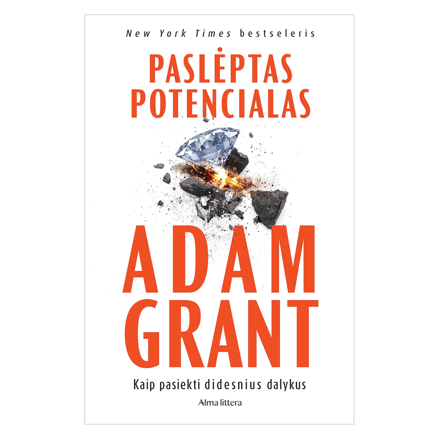 Knyga PASLĖPTAS POTENCIALAS