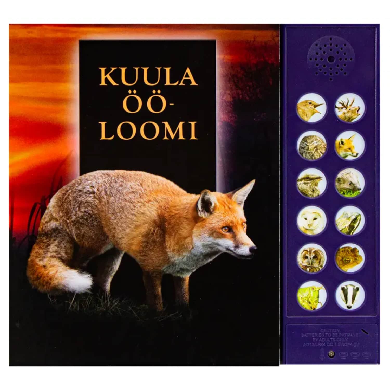 Raamat Kuula ööloomi