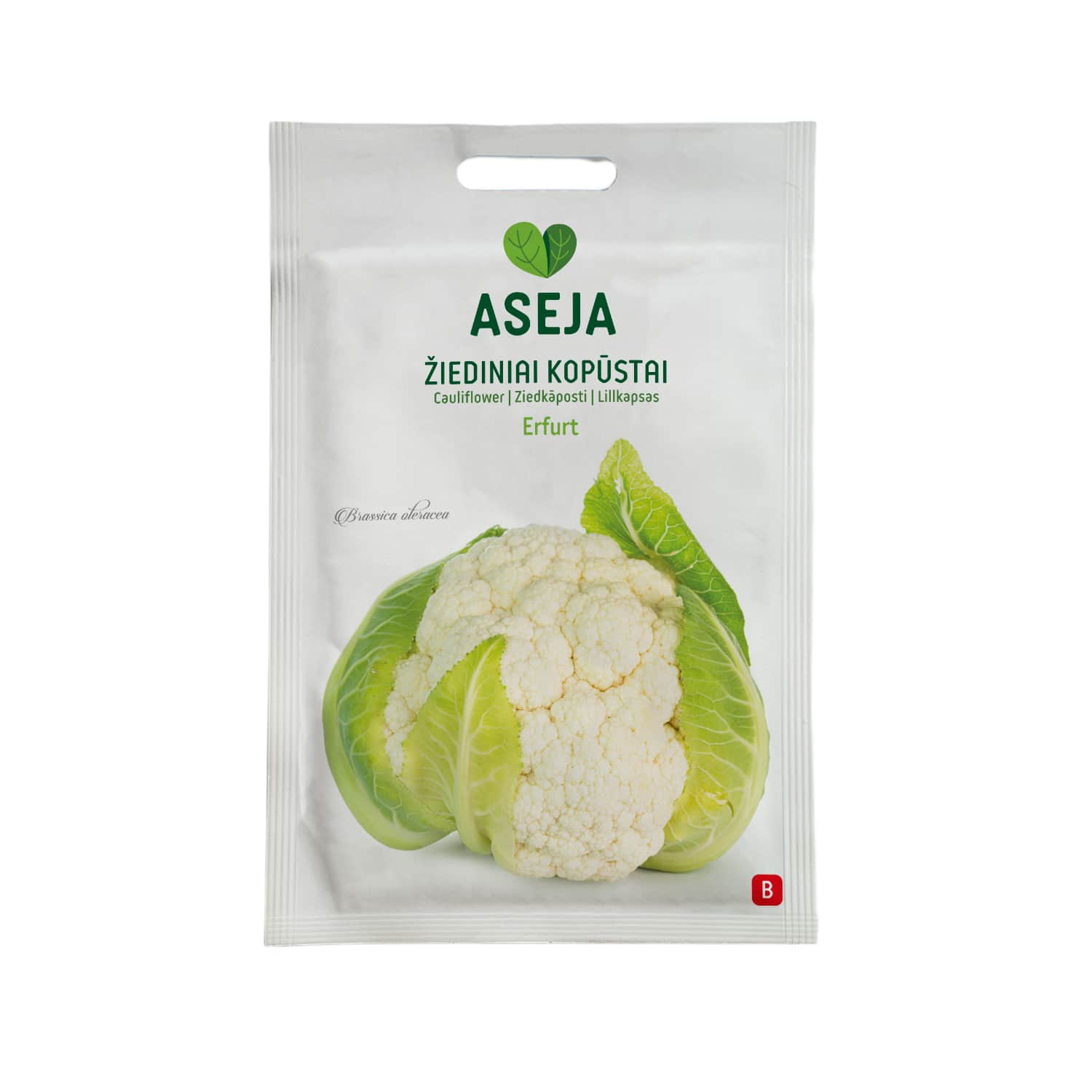 Žied. kopūstų sėklos ASEJA ERFURT, 0,5 g