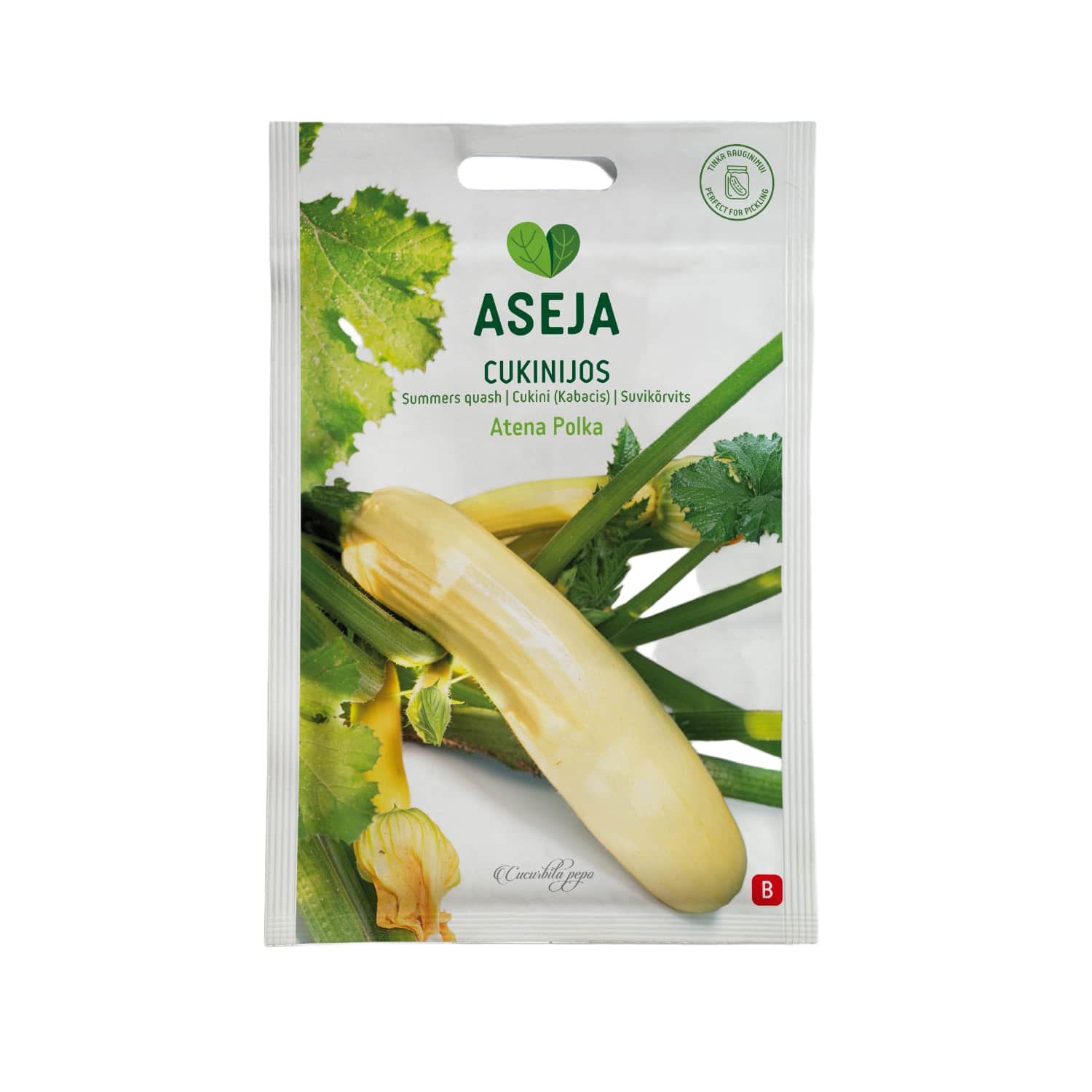 Cukīni Atena Polka, Aseja, 1g