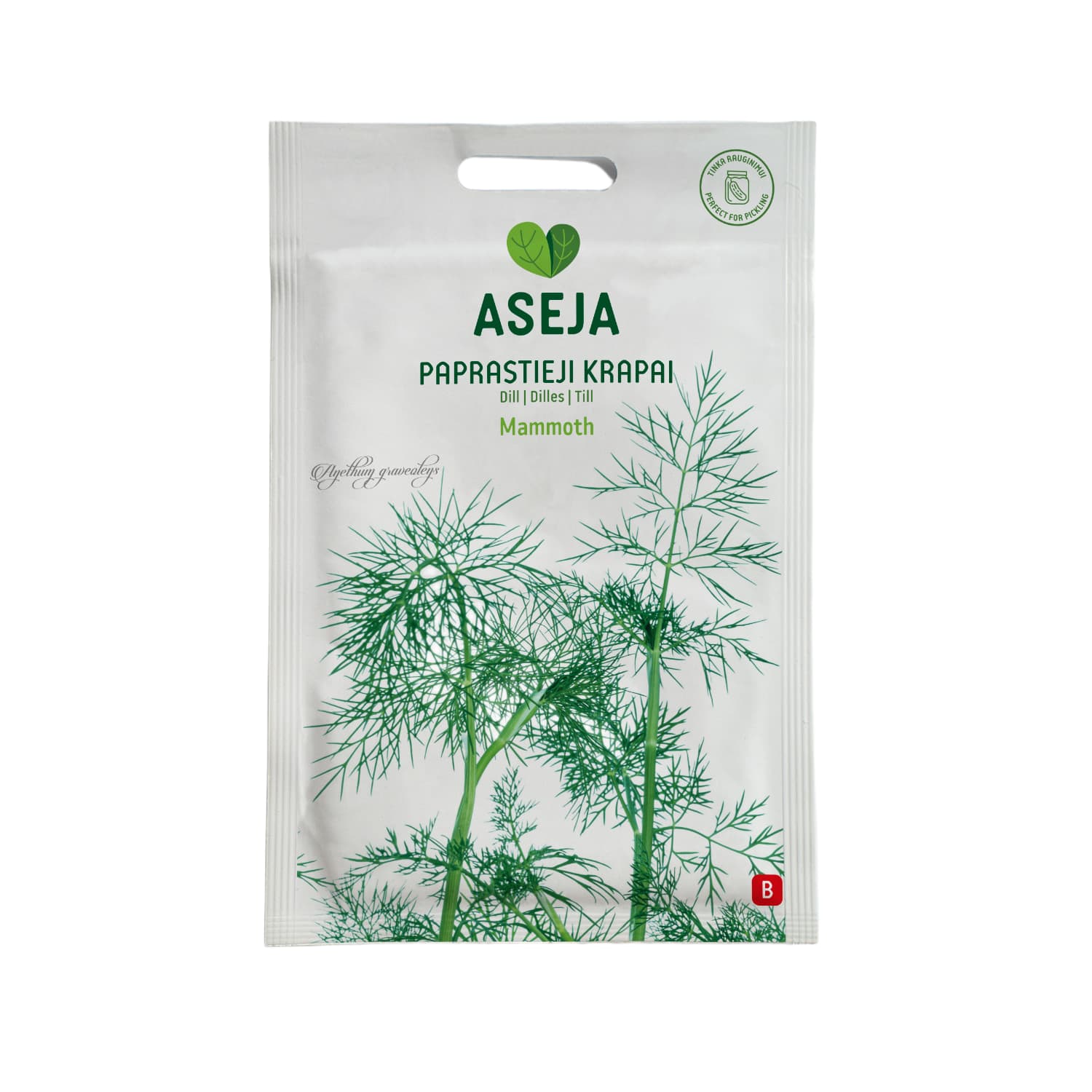 Parastās dilles Mammoth, Aseja, 4g