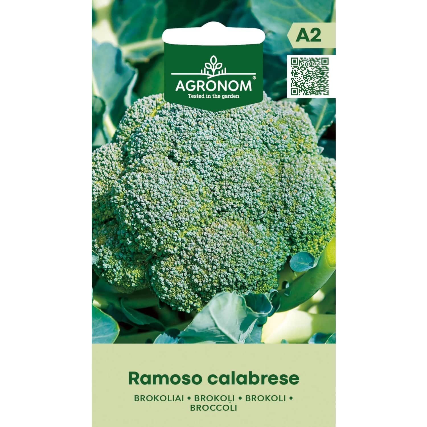 Brokoliai RAMOSO CALABRESE