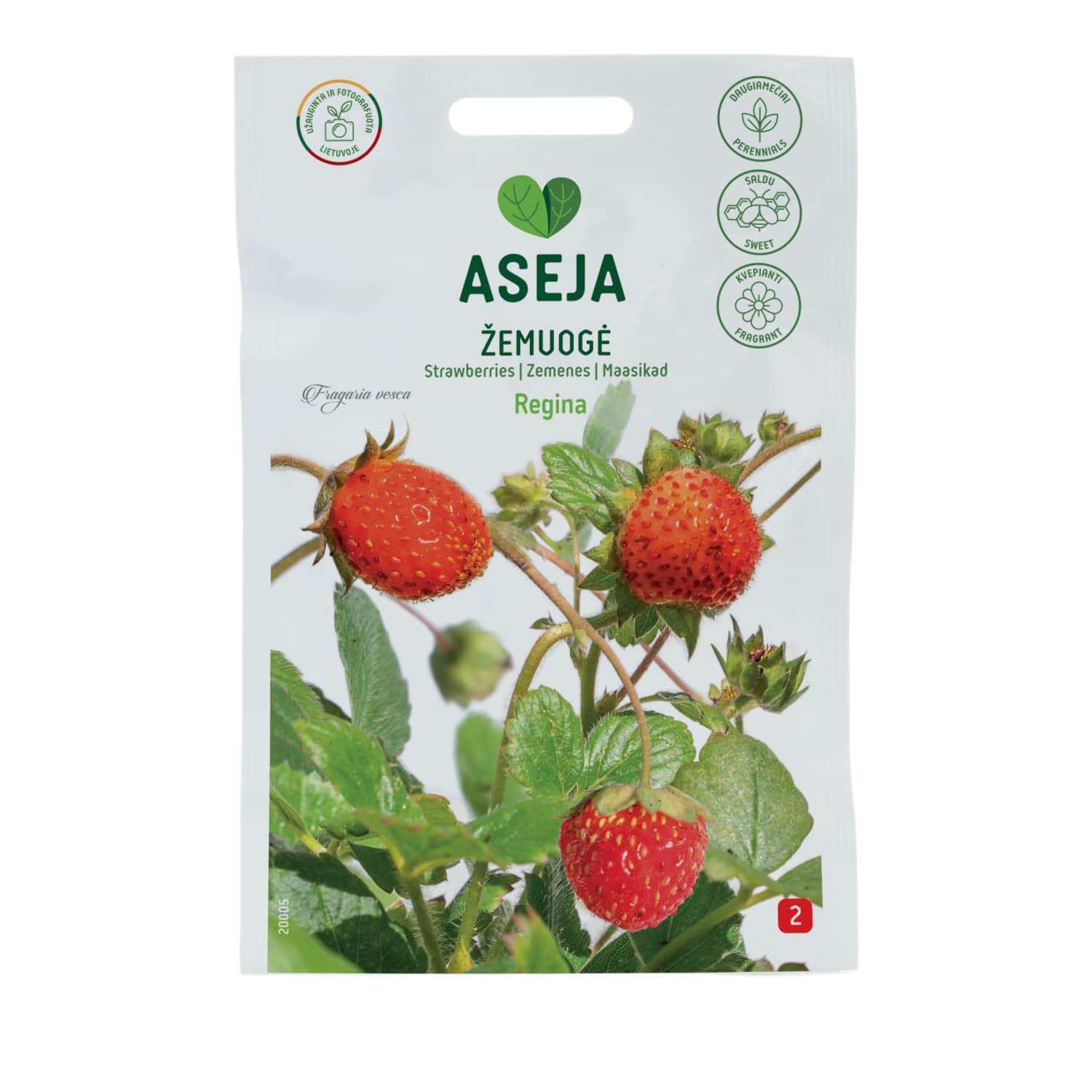 Zemenes Regina, Aseja, 0,08g