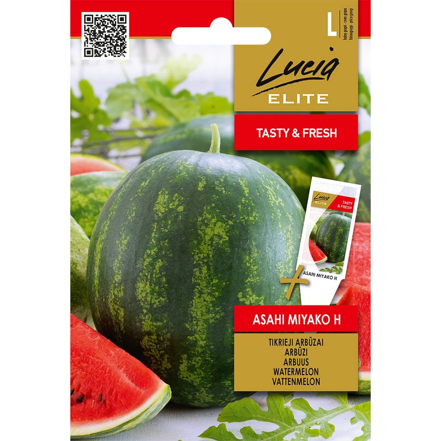 Arbuus Asahi Miyako H