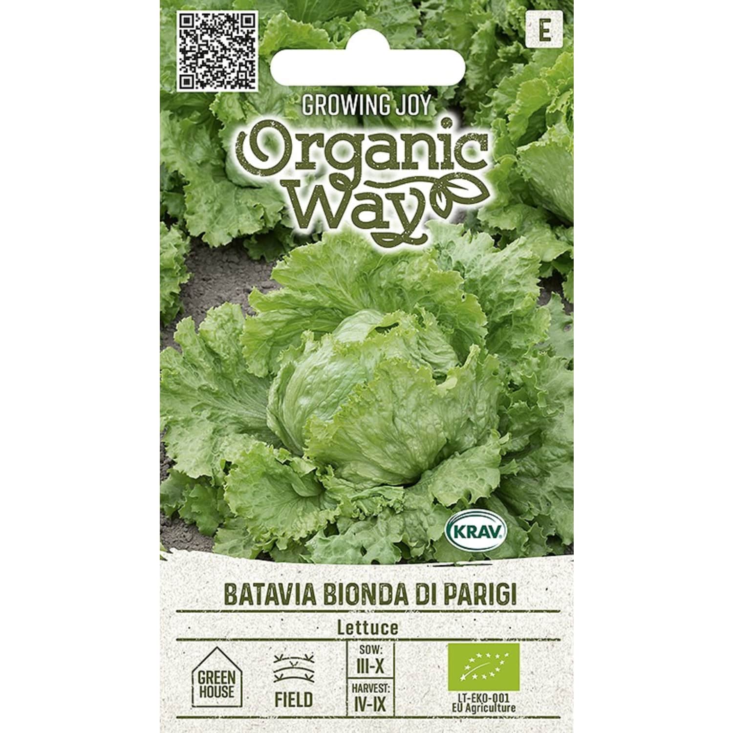 Sodo salotos BATAVIA BIONDA DI PARIGI