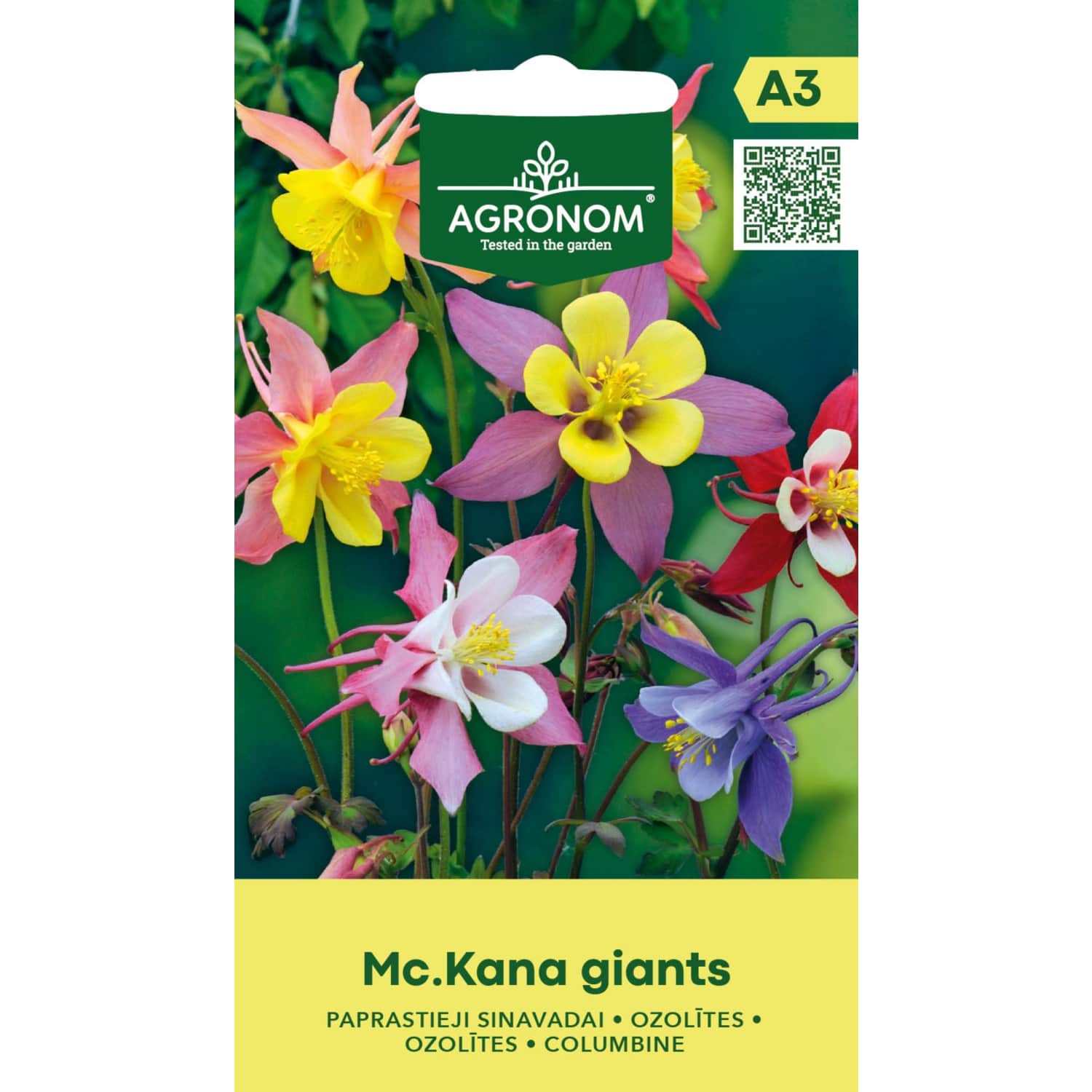 Gilės Mc.KANA GIANTS