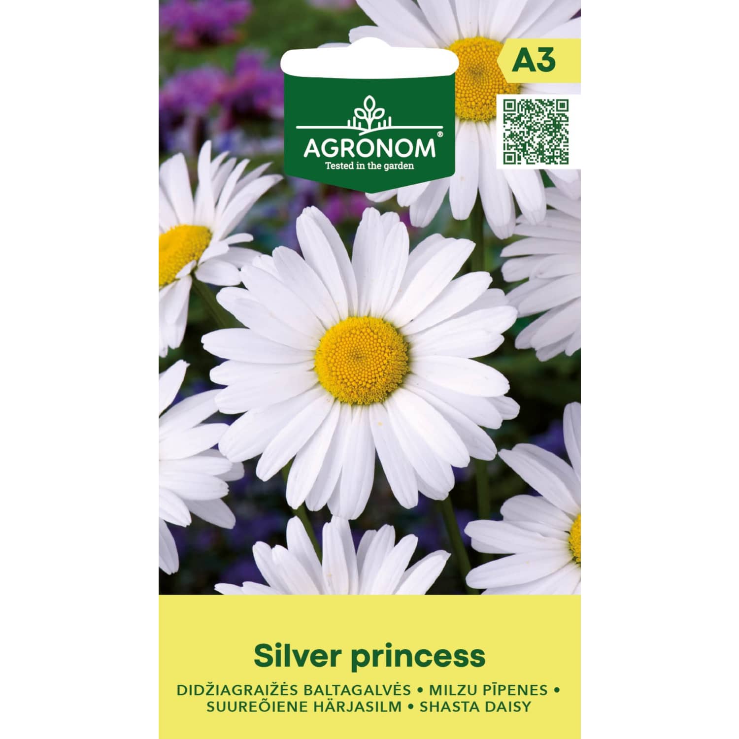 Didžiagraižės baltagalvės SILVER PRINCESS