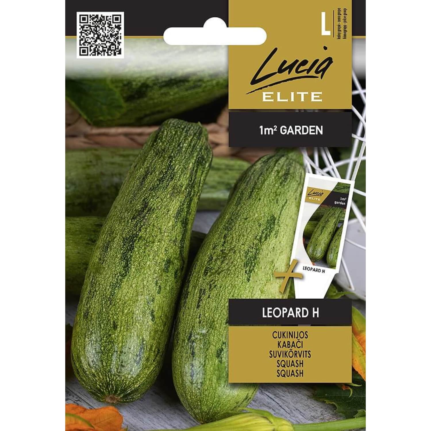 Suvikõrvits Leopard H