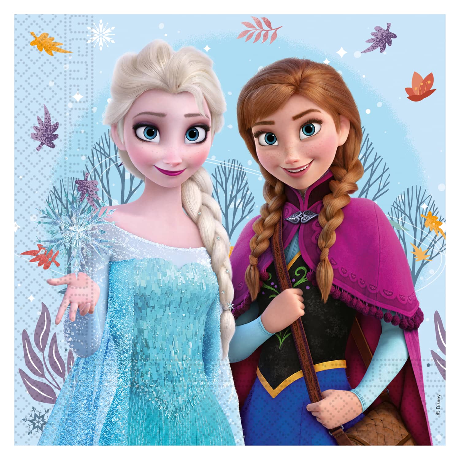 FSC salvetes Frozen