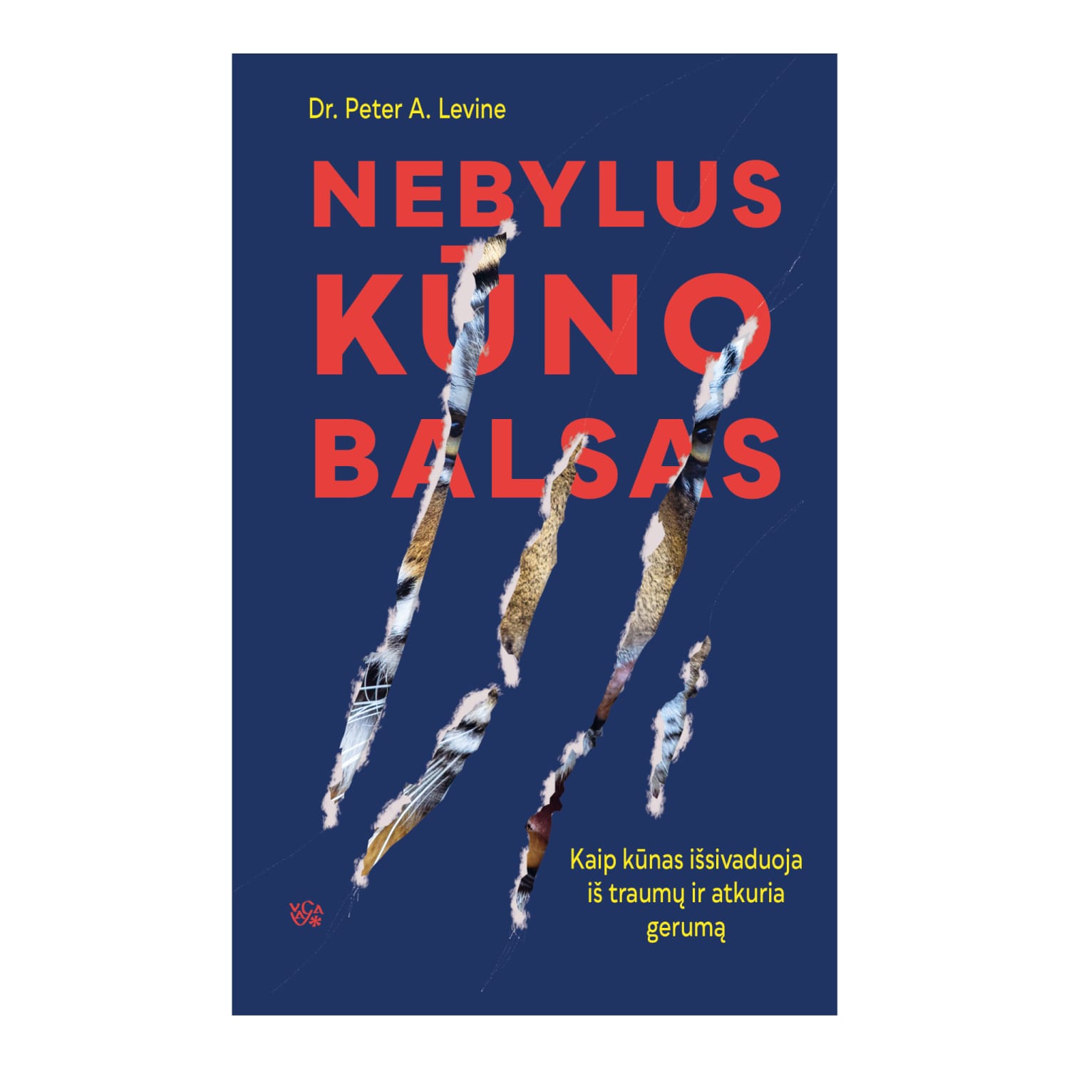 Knyga NEBYLUS KŪNO BALSAS