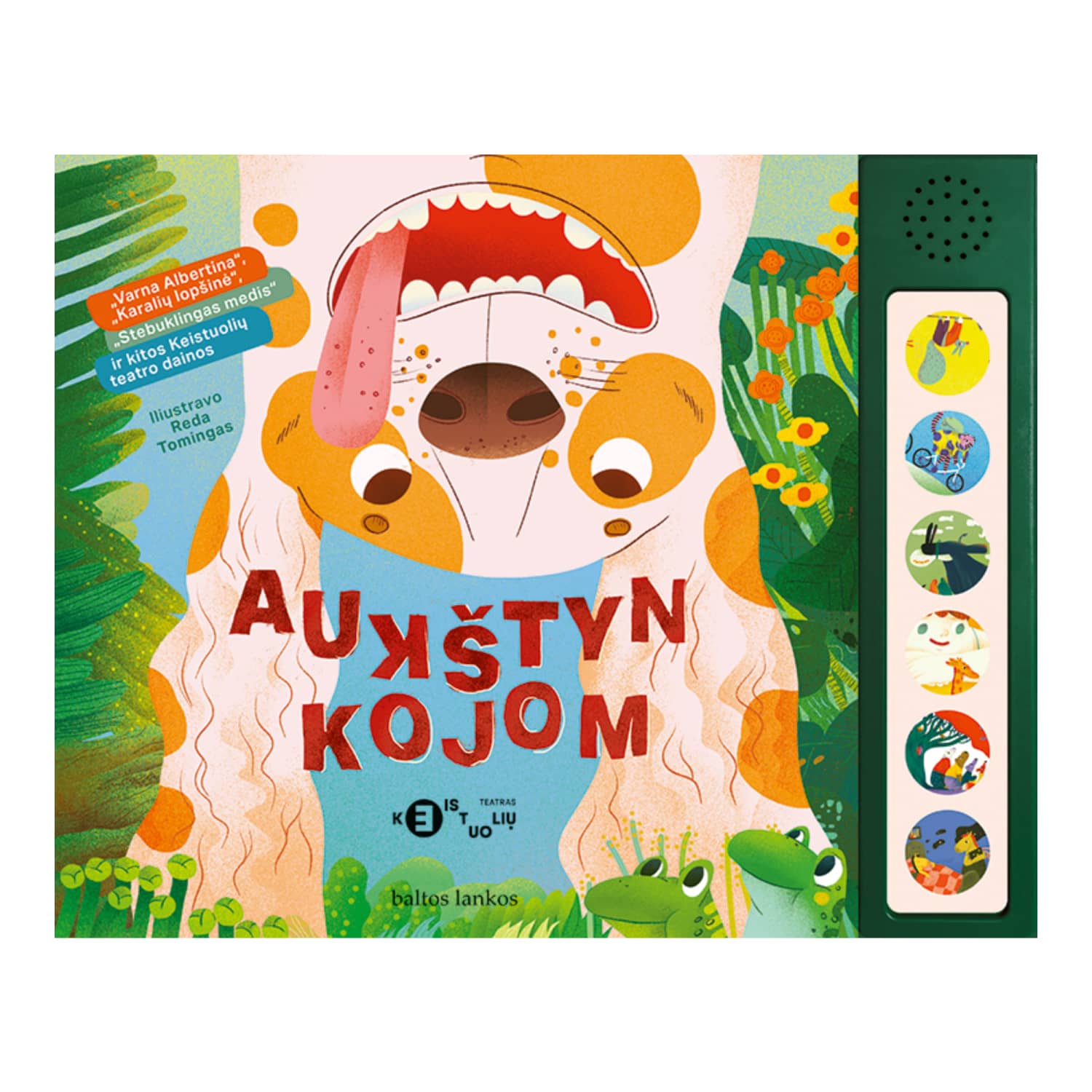 Knyga AUKŠTYN KOJOM