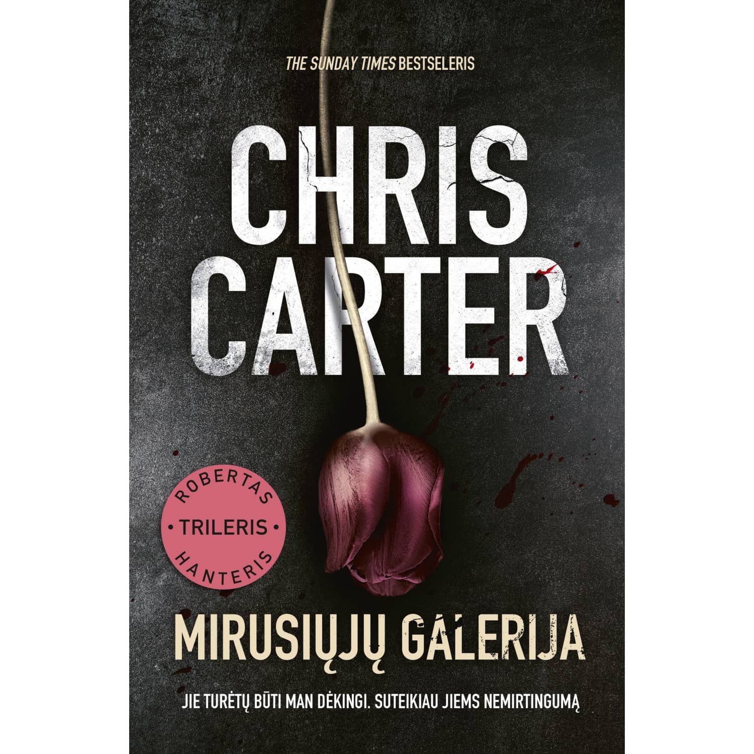 Knyga MIRUSIŲJŲ GALERIJA /2 LAIDA/