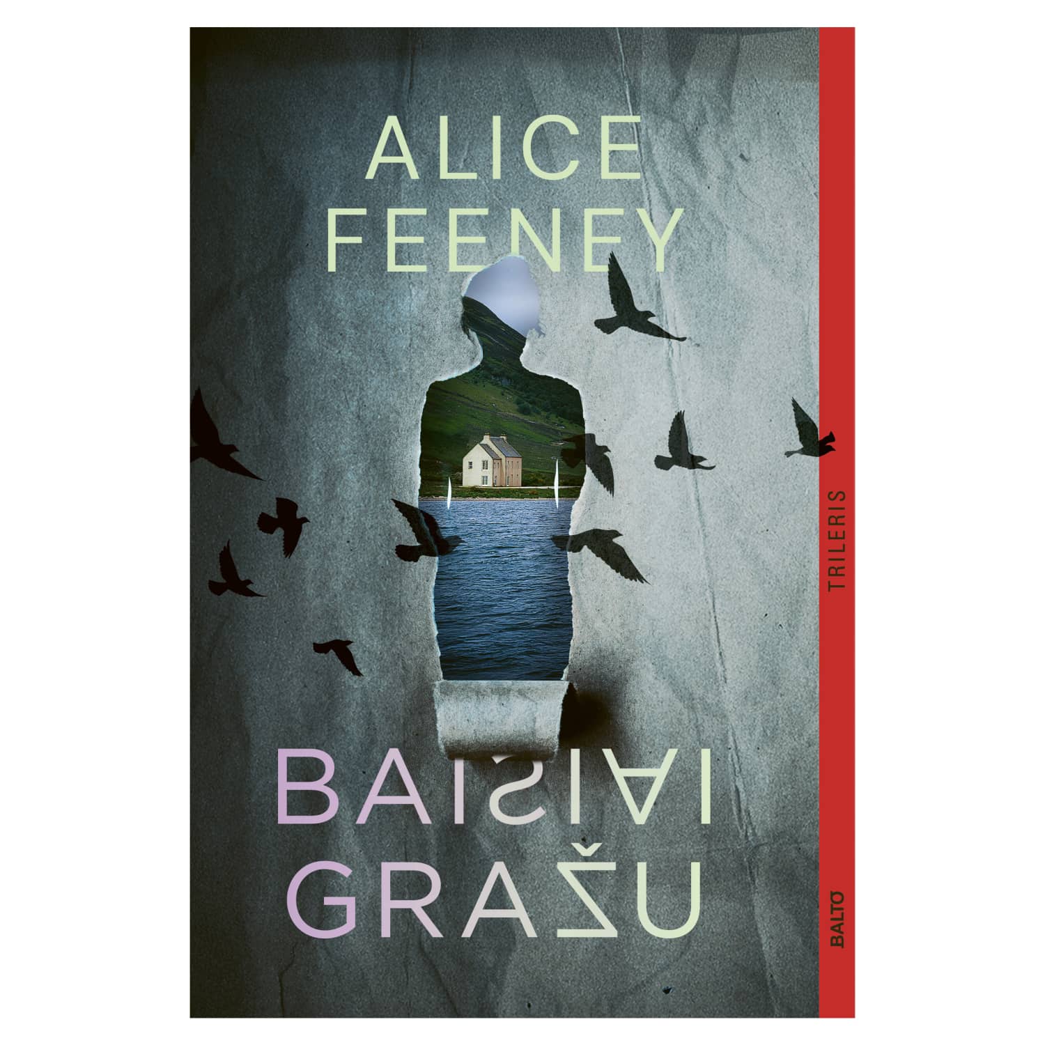 Knyga BAISIAI GRAŽU