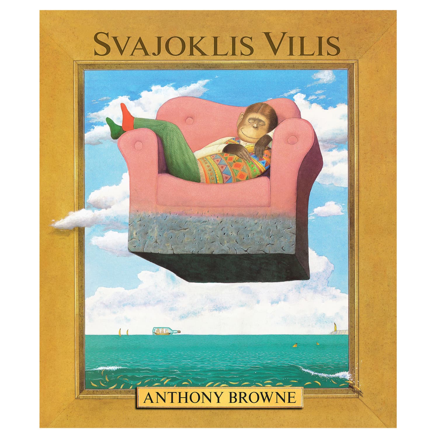 Knyga SVAJOKLIS VILIS