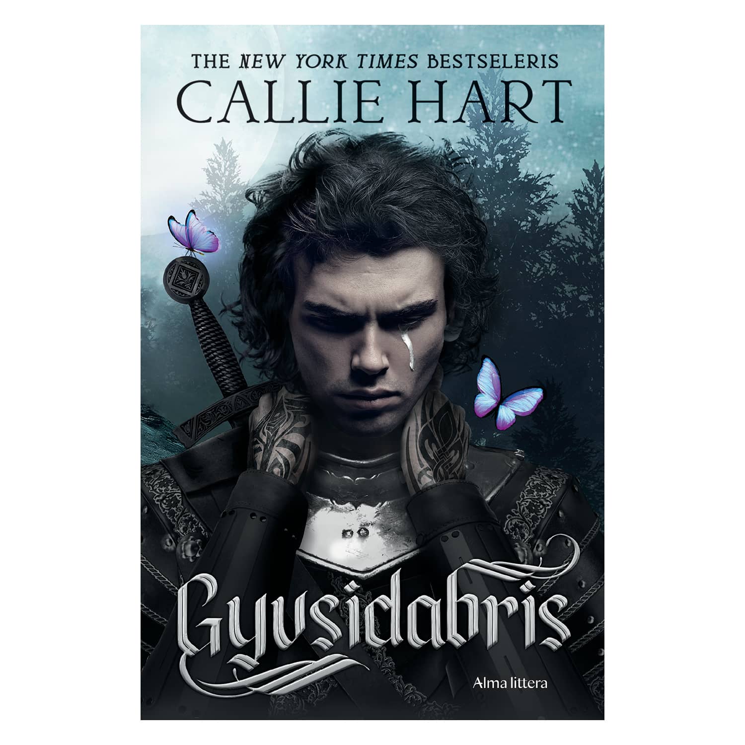 Knyga GYVSIDABRIS. PIRMA KNYGA