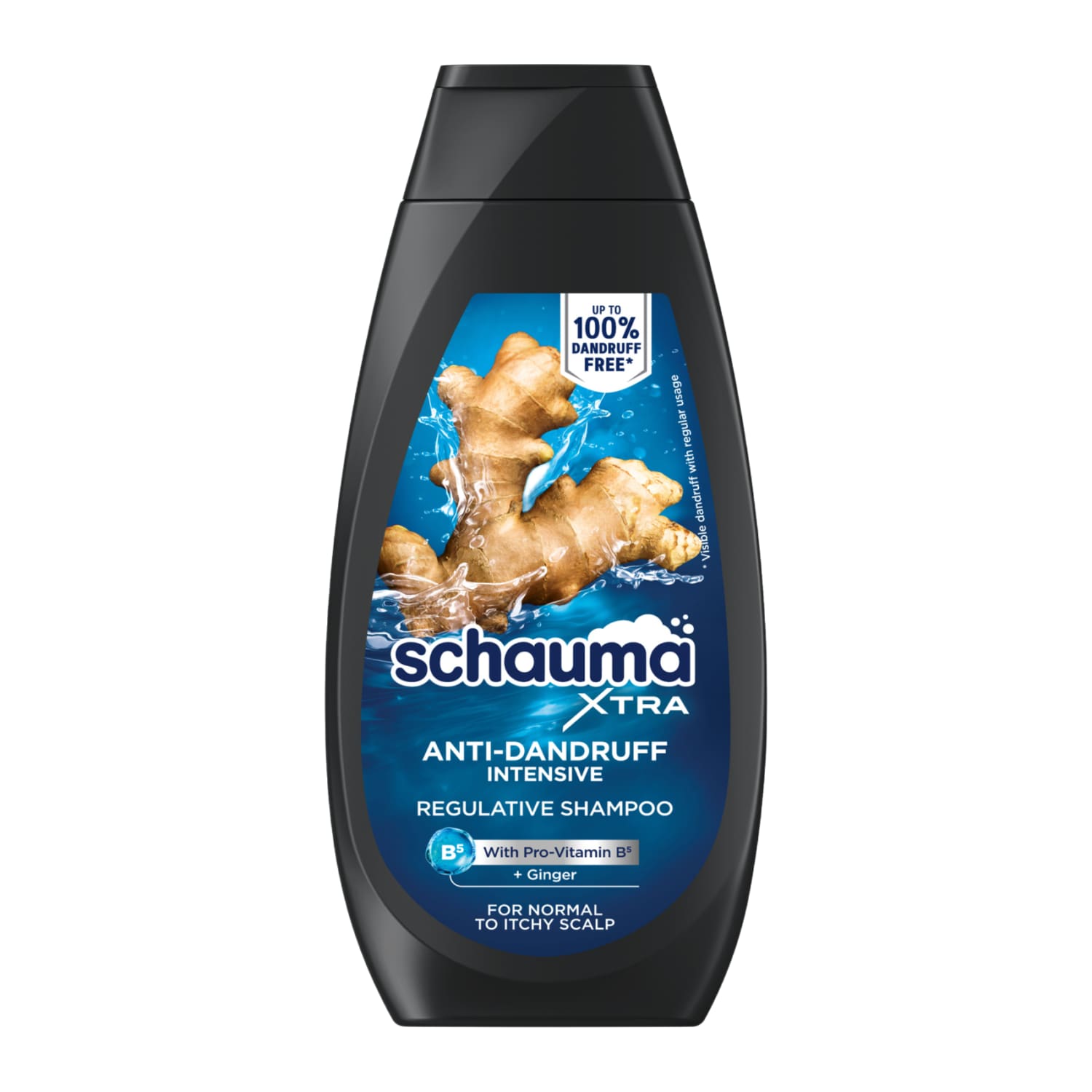 Šampūns Schauma Anti-Dandruff Inten.Men 350ml