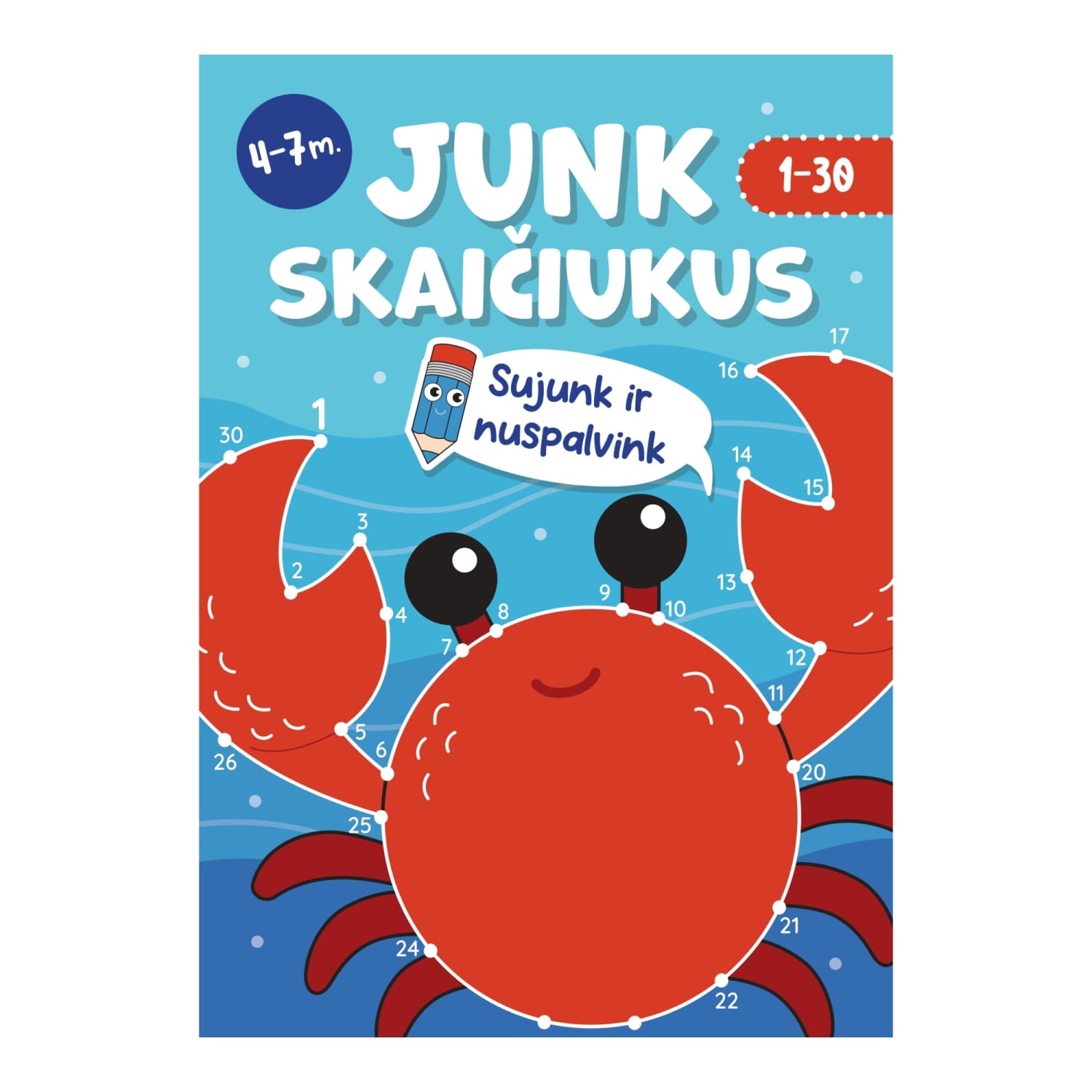 Knyga JUNK SKAIČIUKUS (S)