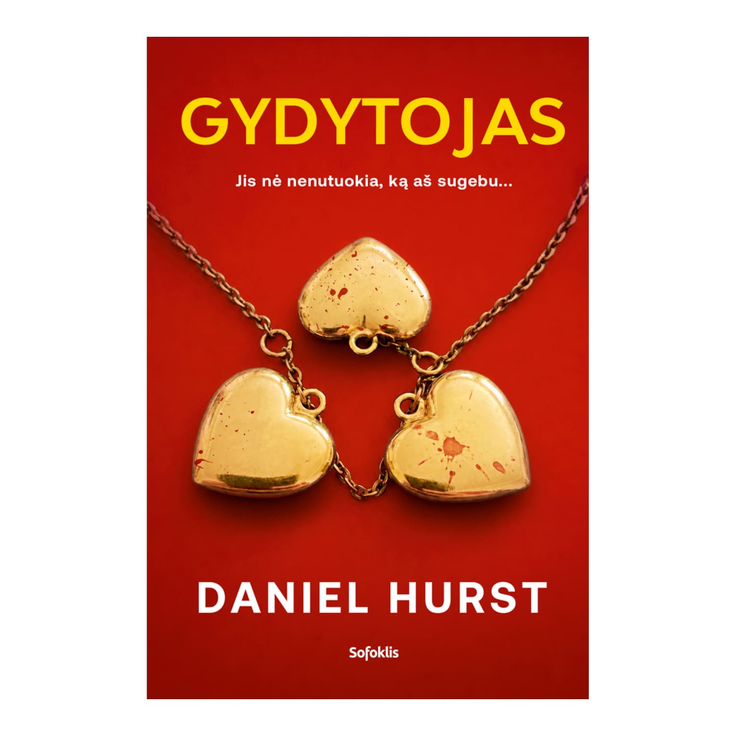 Knyga GYDYTOJAS