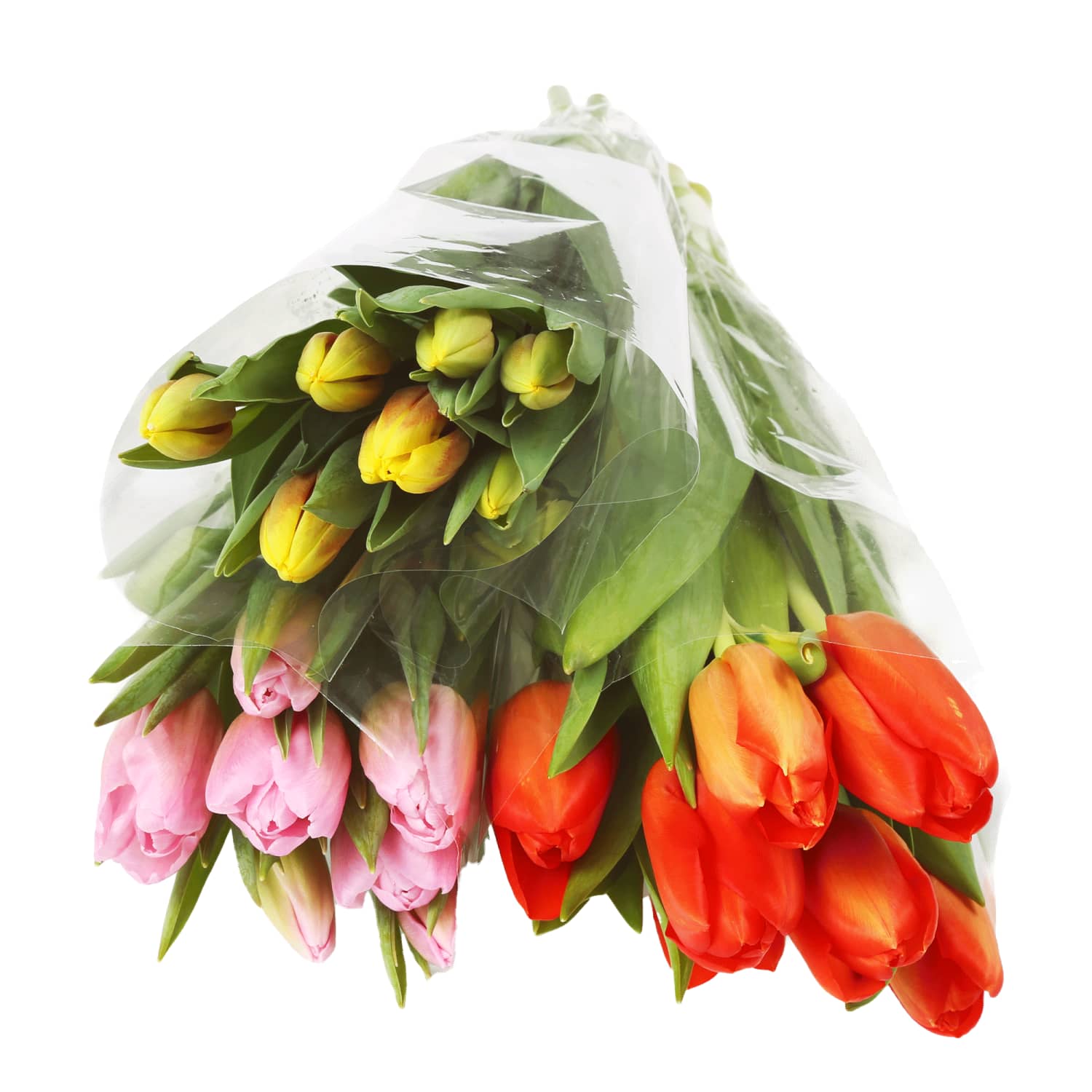 Tulpių puokštė RIMI, 7 vnt., 35 cm