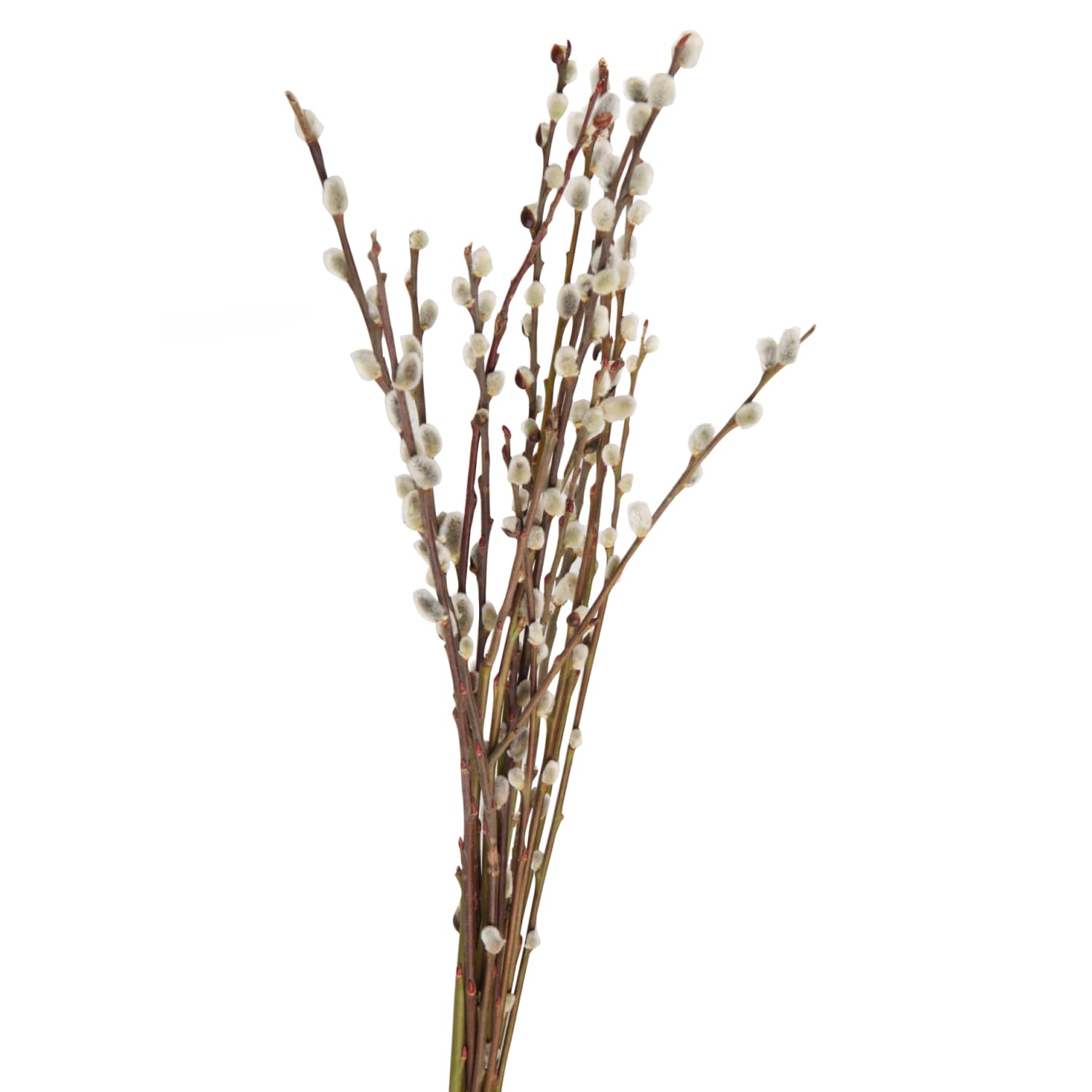 Verbos puokštė 1vnt